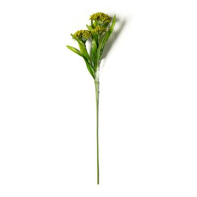 Green Queen Anne's Lace Stem by Ashland® image