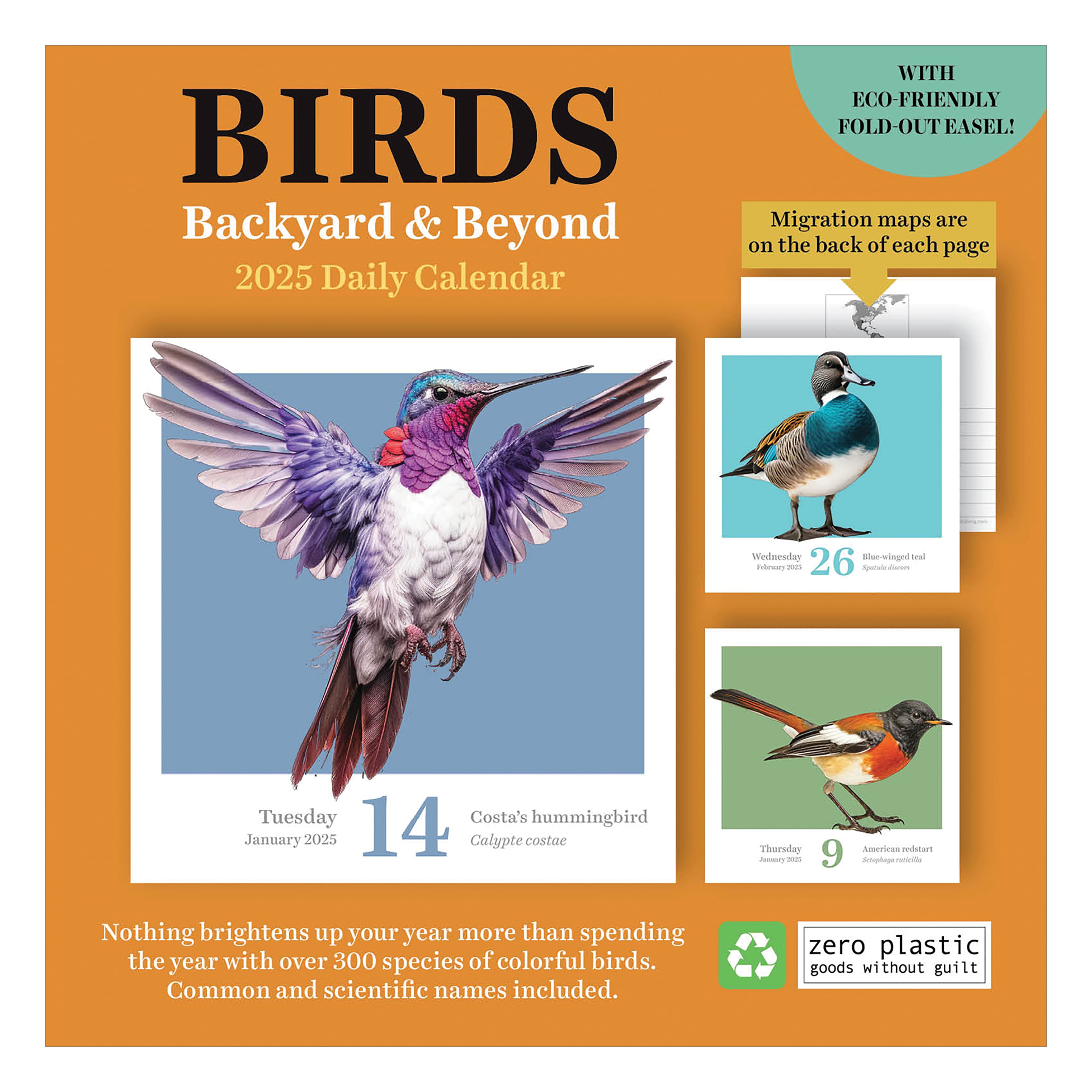 TF Publishing 2025 Birds: Backyard &#x26; Beyond Daily Desktop Calendar