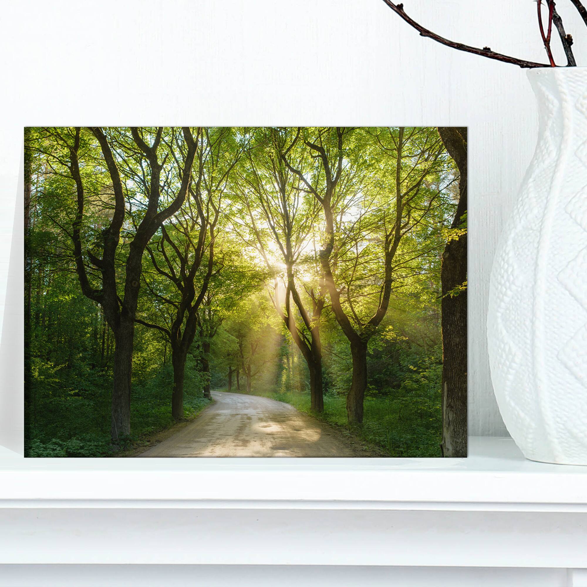 Designart - Evening in Green Forest - Landscape Canvas Art Print