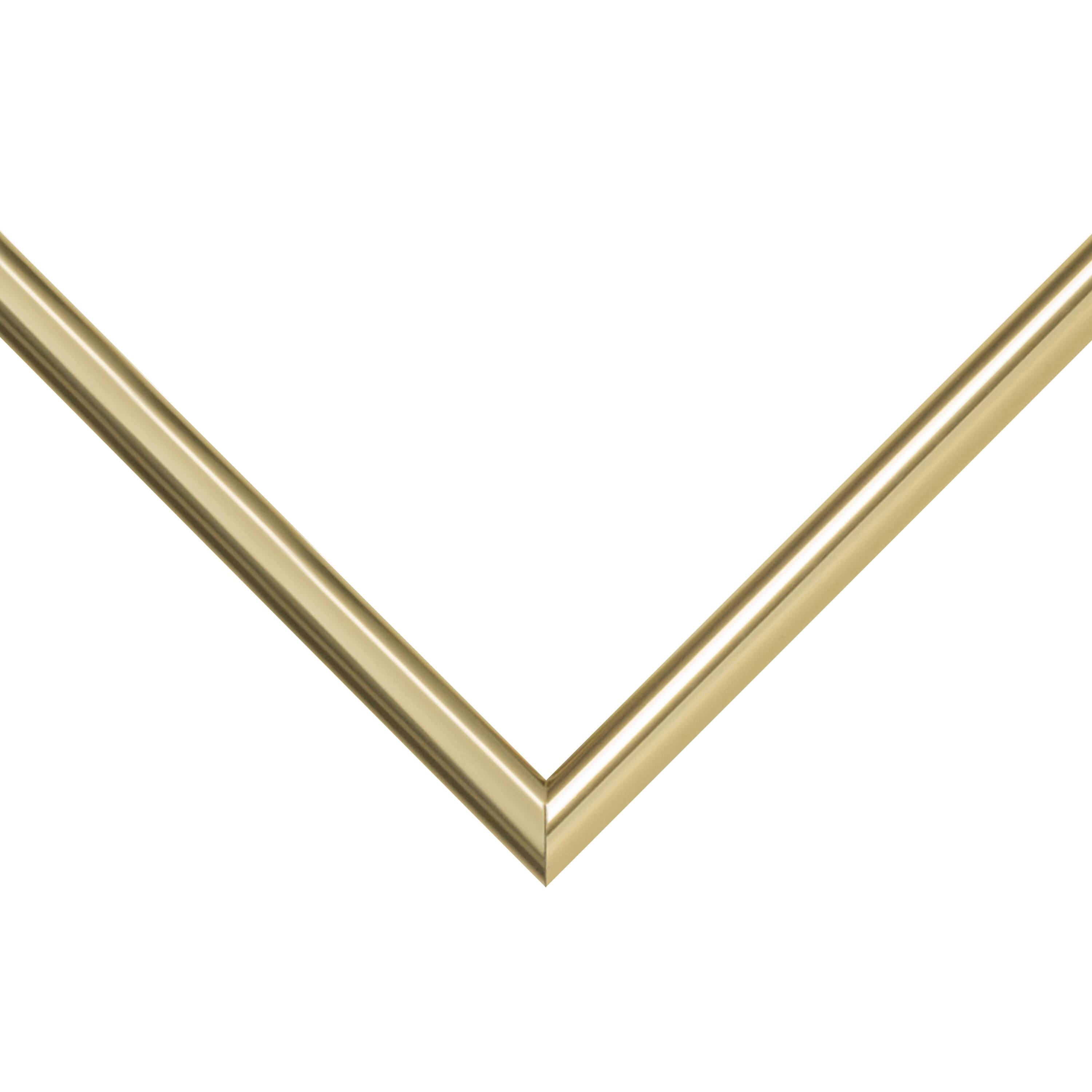 Frame USA Metal I Gold Single Image Picture Frame