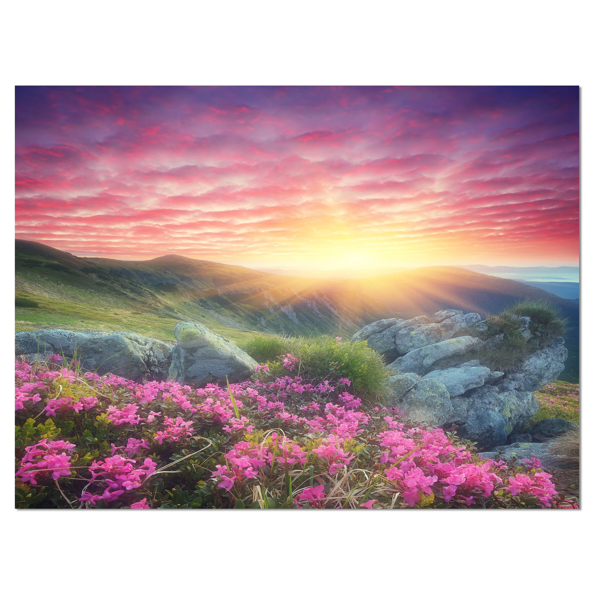 Designart - Morning with Flowers in Mountains - Landscape Photography Canvas Print