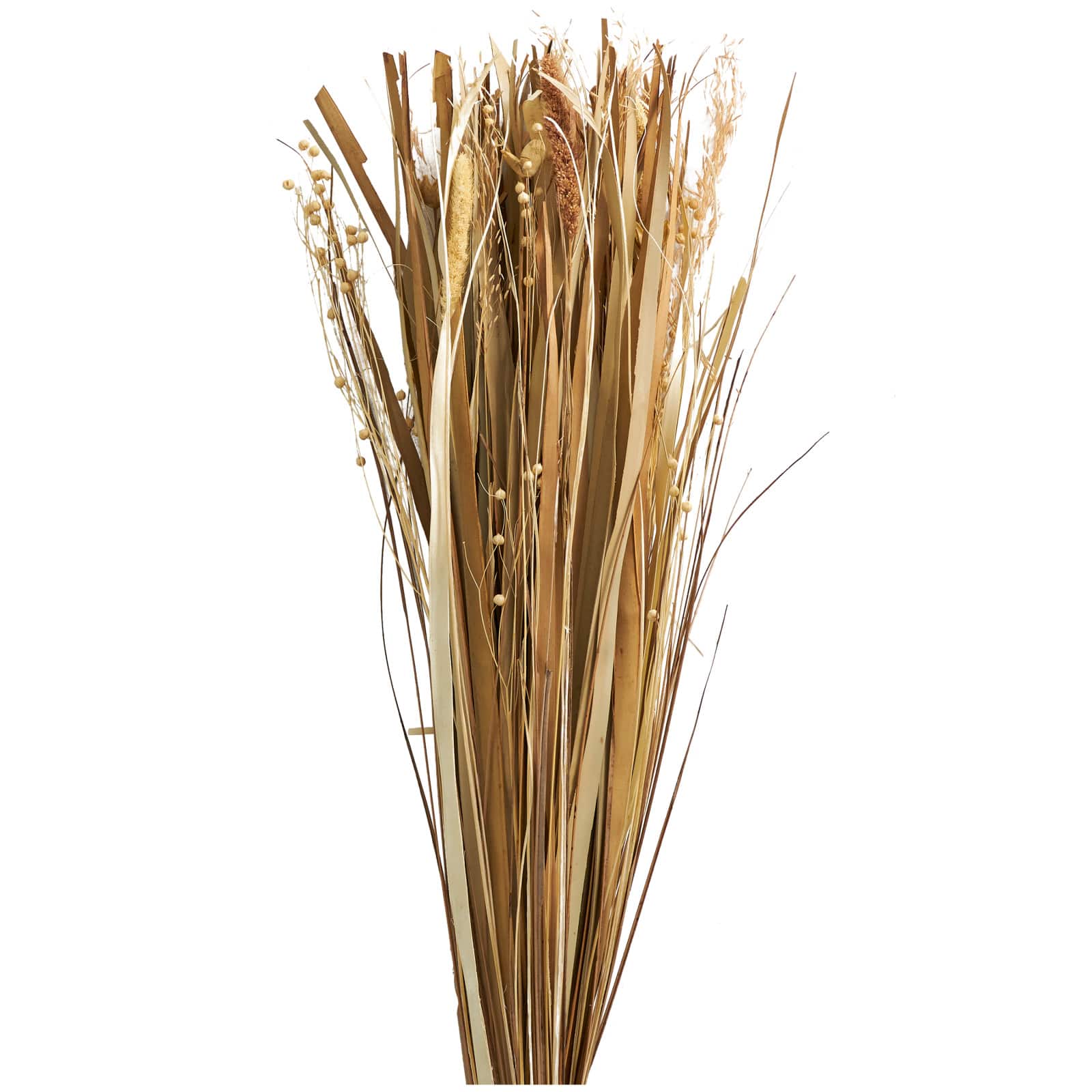 41" Brown Dried Plant Floral Bouquet Grass Natural Foliage with Reed Accents