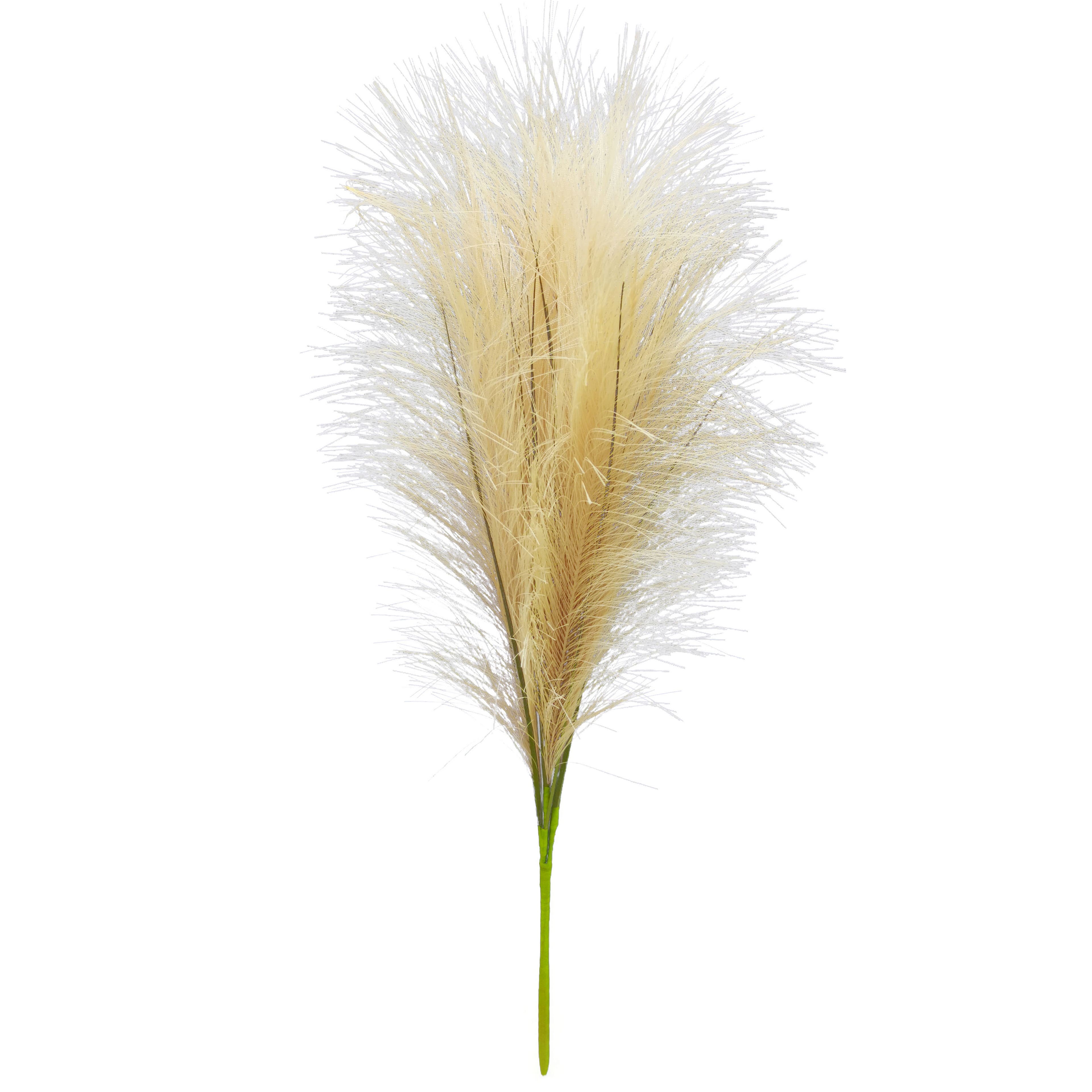 24&#x22; Pampas Grass Bush by Ashland&#xAE;