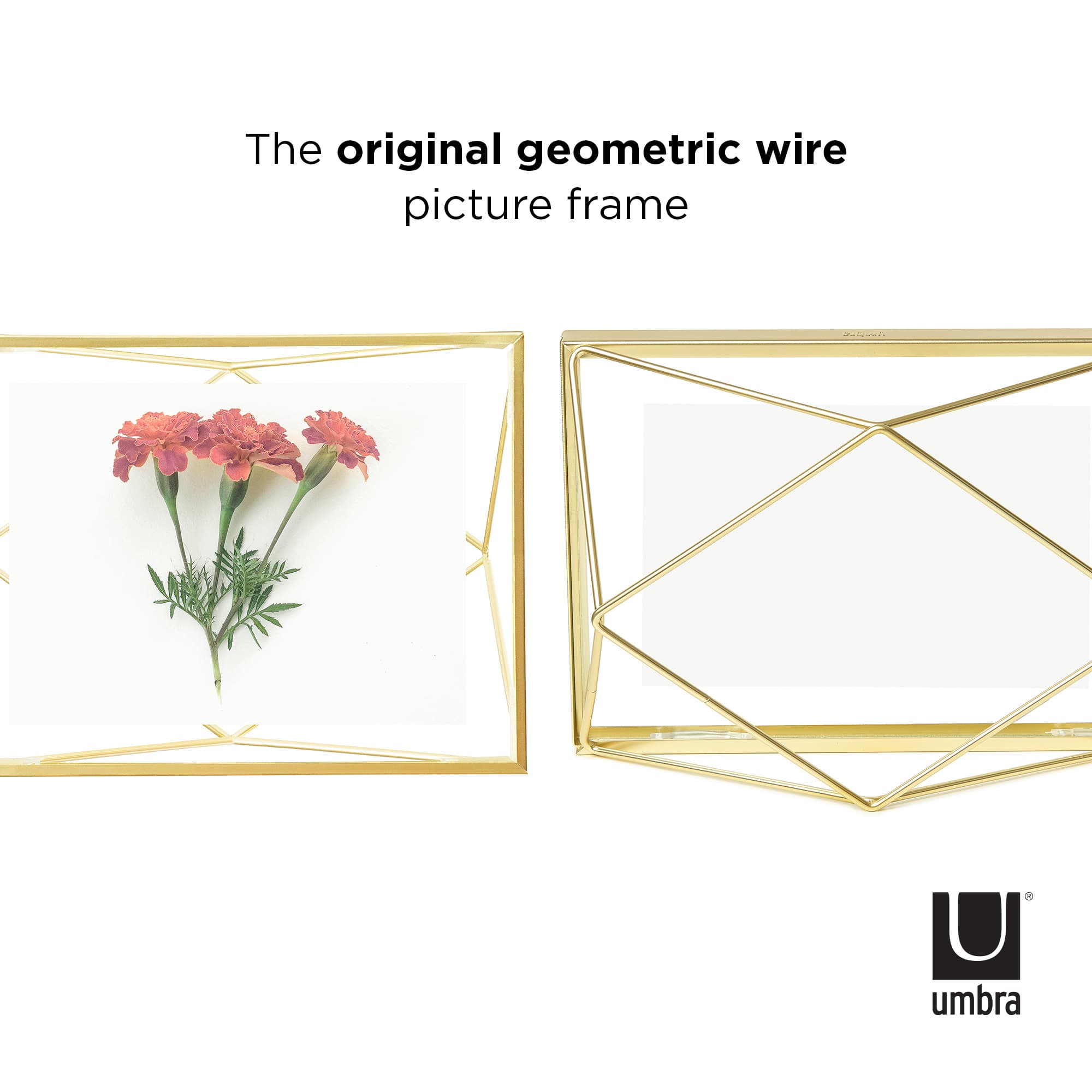 Umbra Matte Brass Prisma Picture Frame