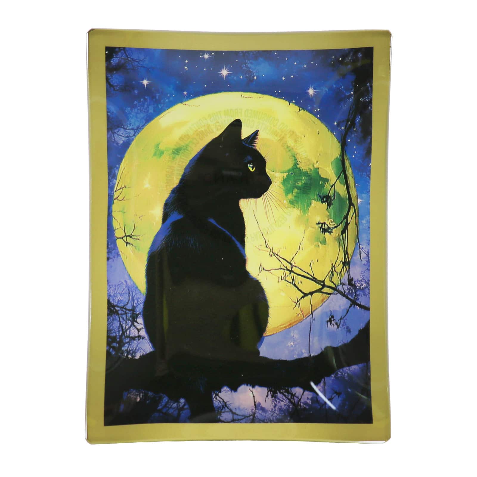 4&#x22; x 6&#x22; Black Cat Glass Plate by Ashland&#xAE;