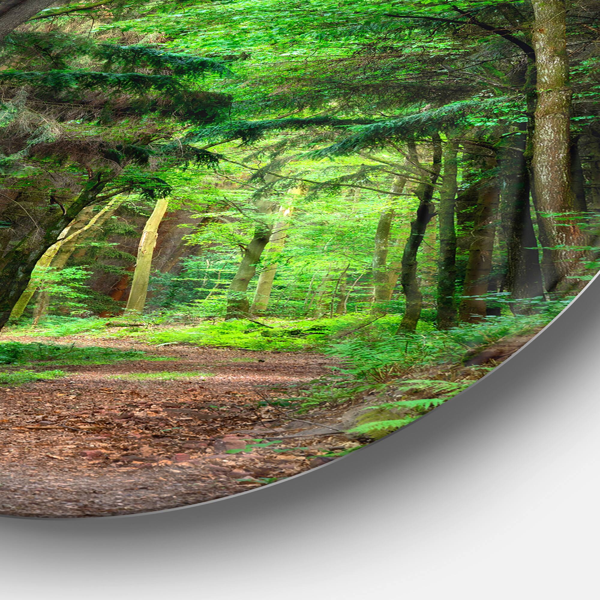 Designart - Dreamy Greenery in Dense Forest&#x27; Forest Metal Circle Wall Art