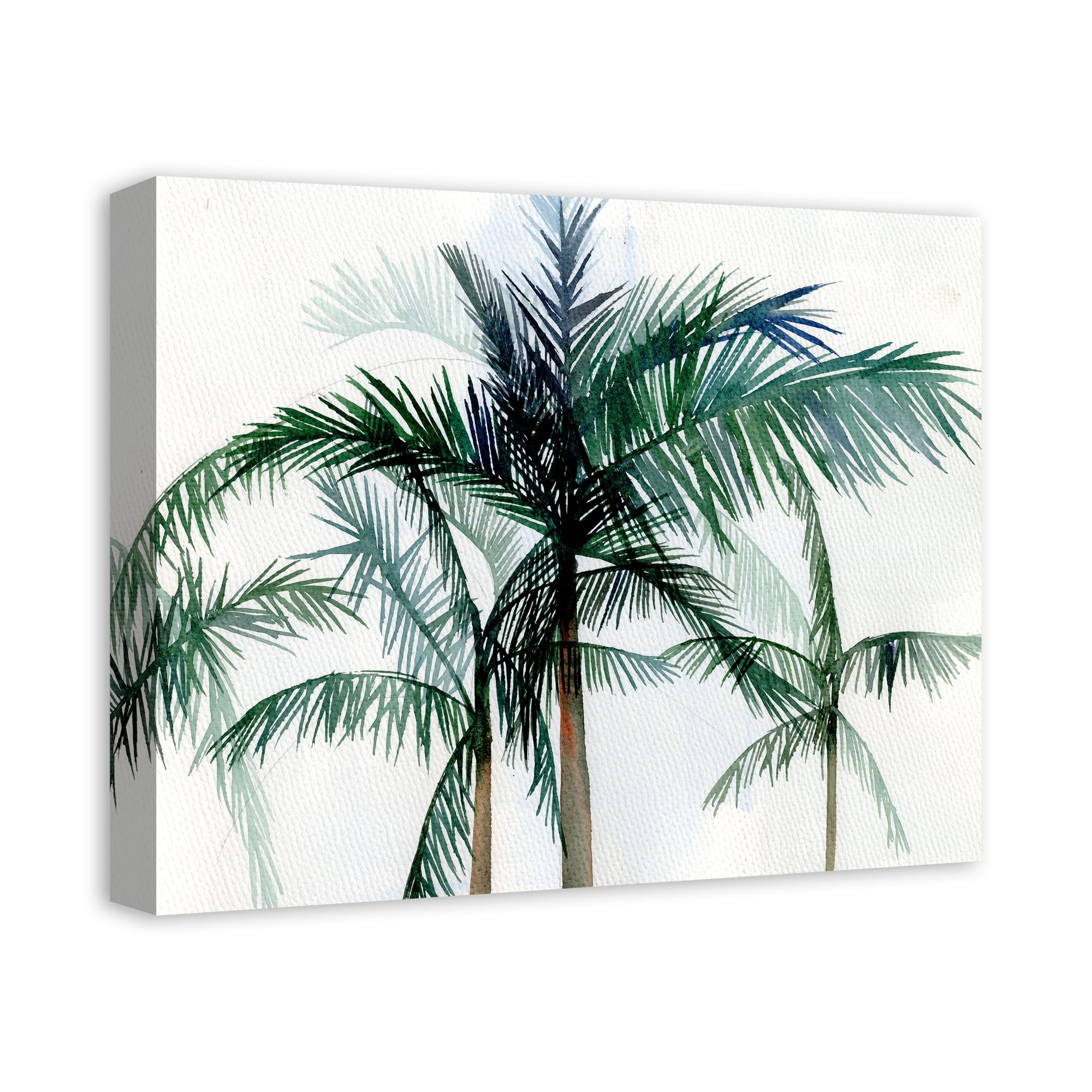 Cocunut Palms 20" x 16" Canvas Wall Art