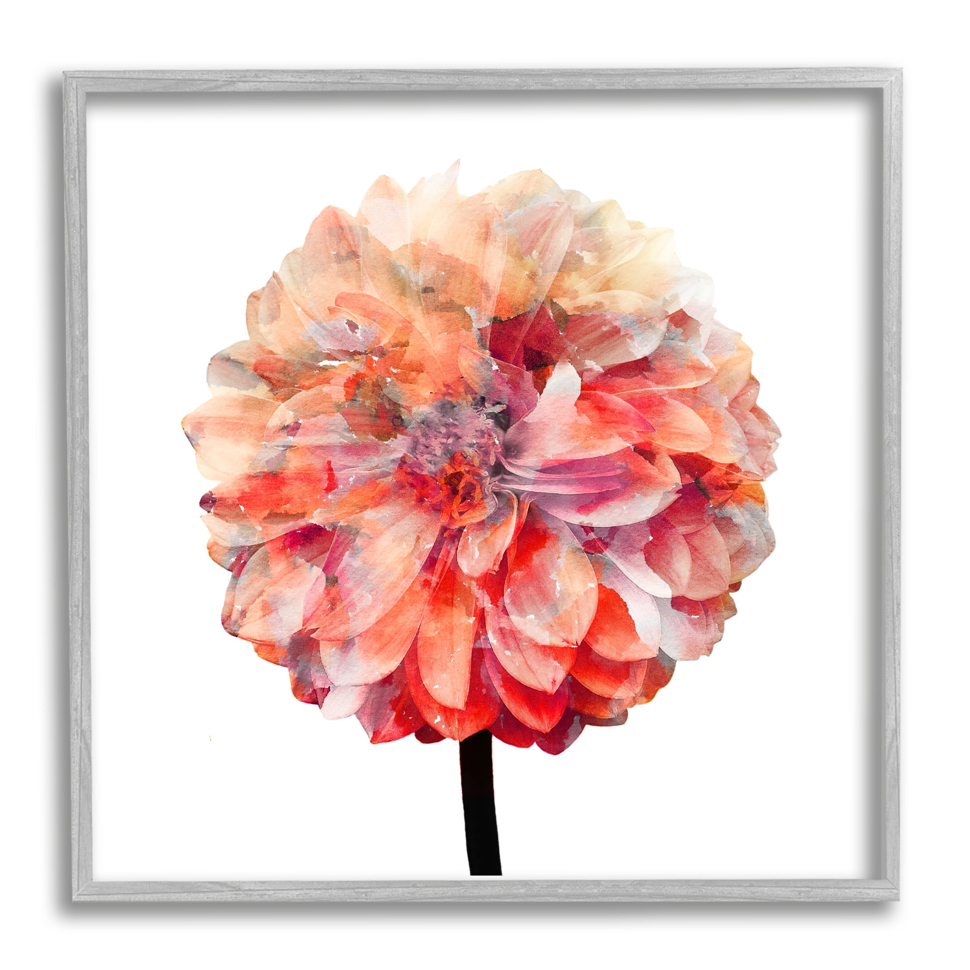 Stupell Industries Bright Coral Watercolor Bloom Dahlia Flower in Gray Frame Wall Art