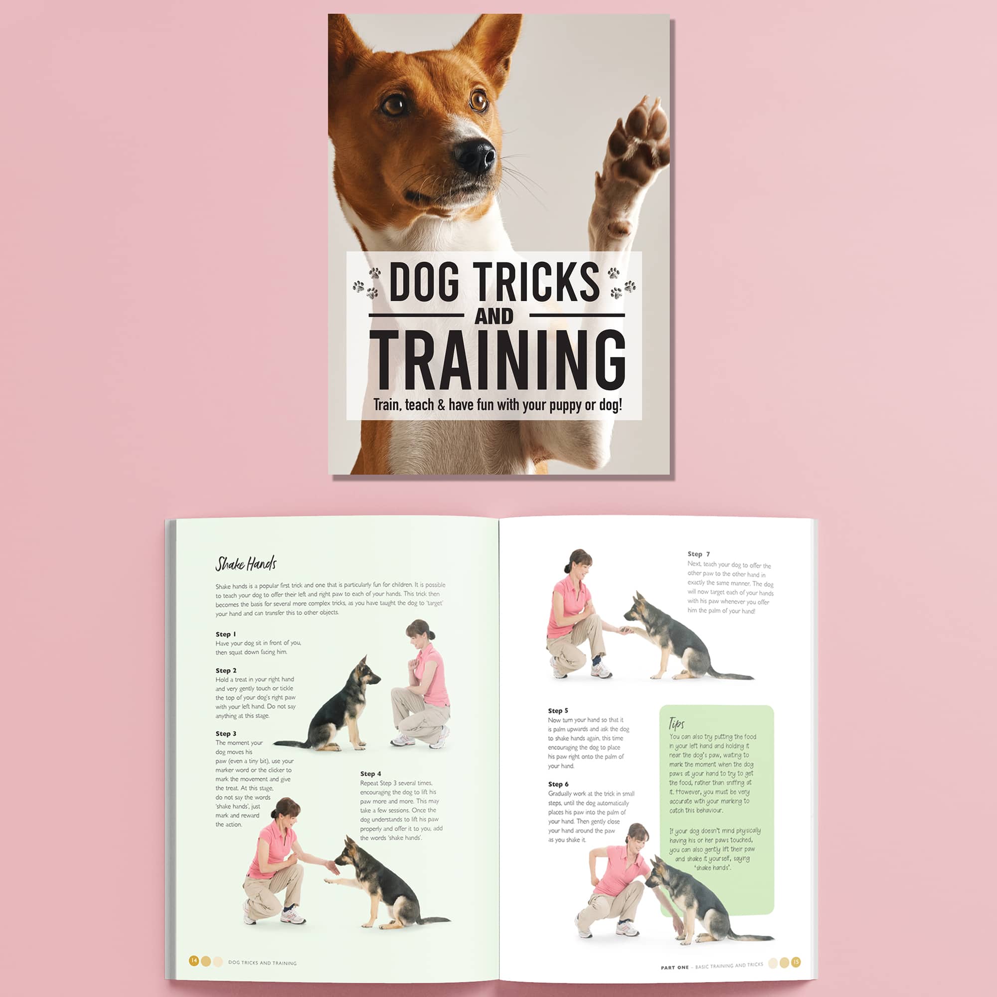 Hinkler Dog Pet Care Tricks & Training Box Set