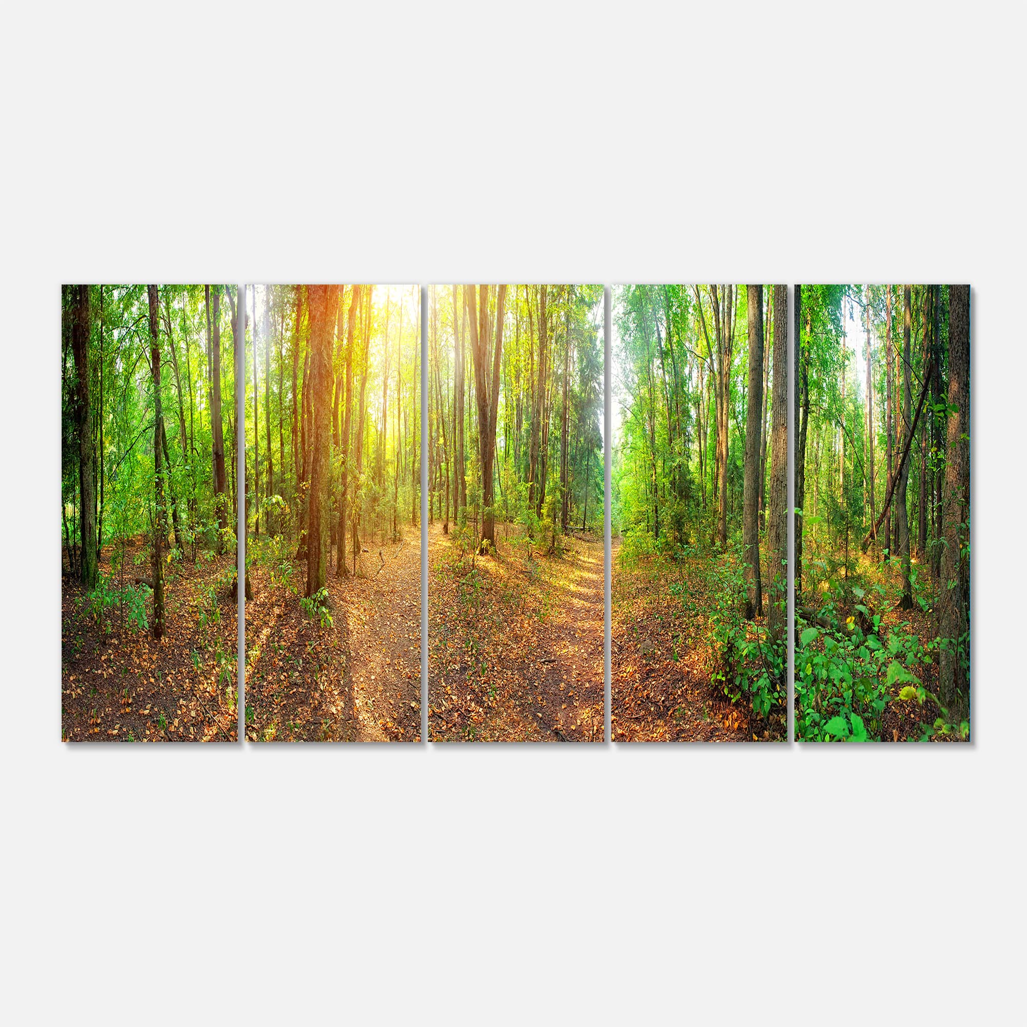 Designart - Dense Forest Panorama - Landscape Canvas Art Print