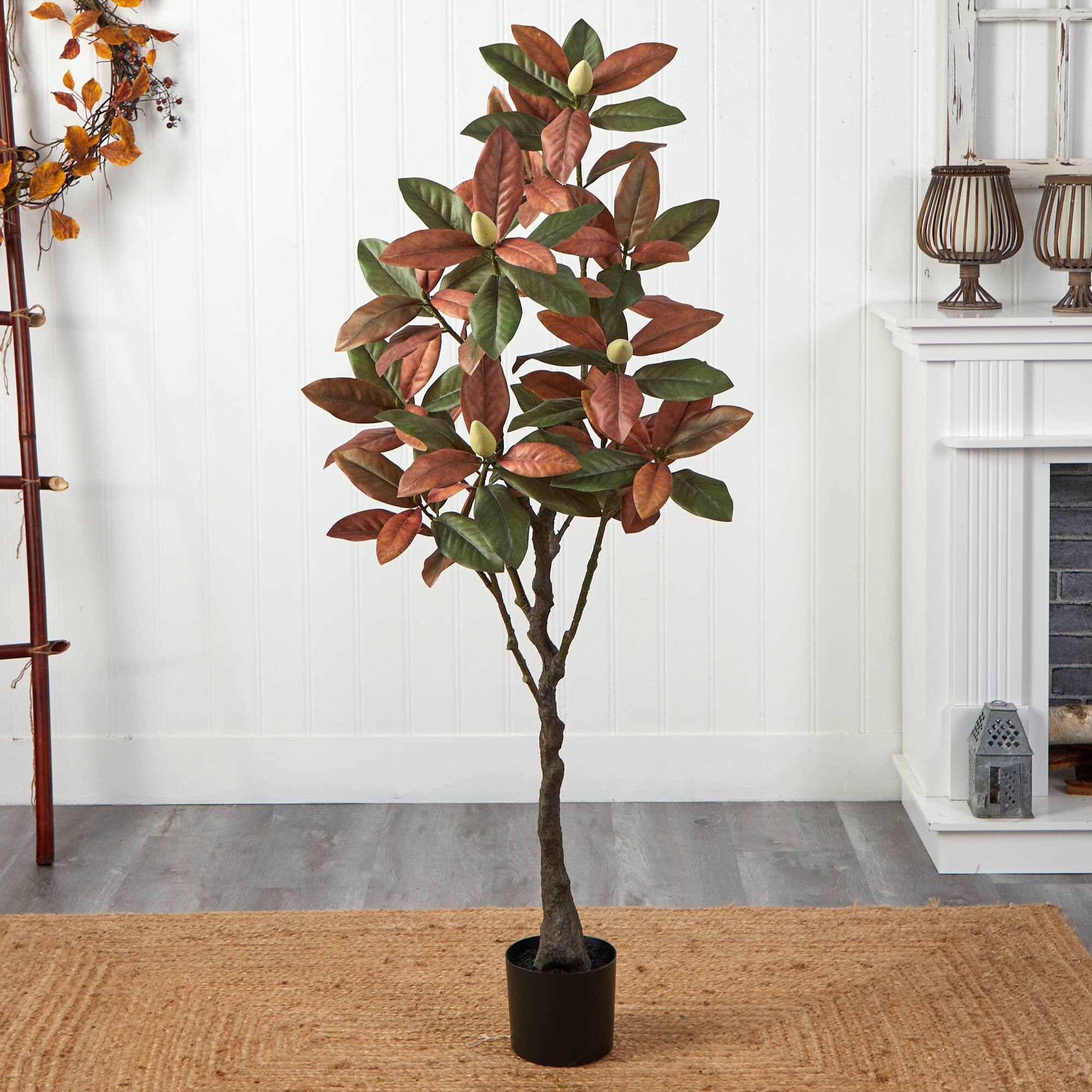 5ft. Potted Fall Magnolia Tree