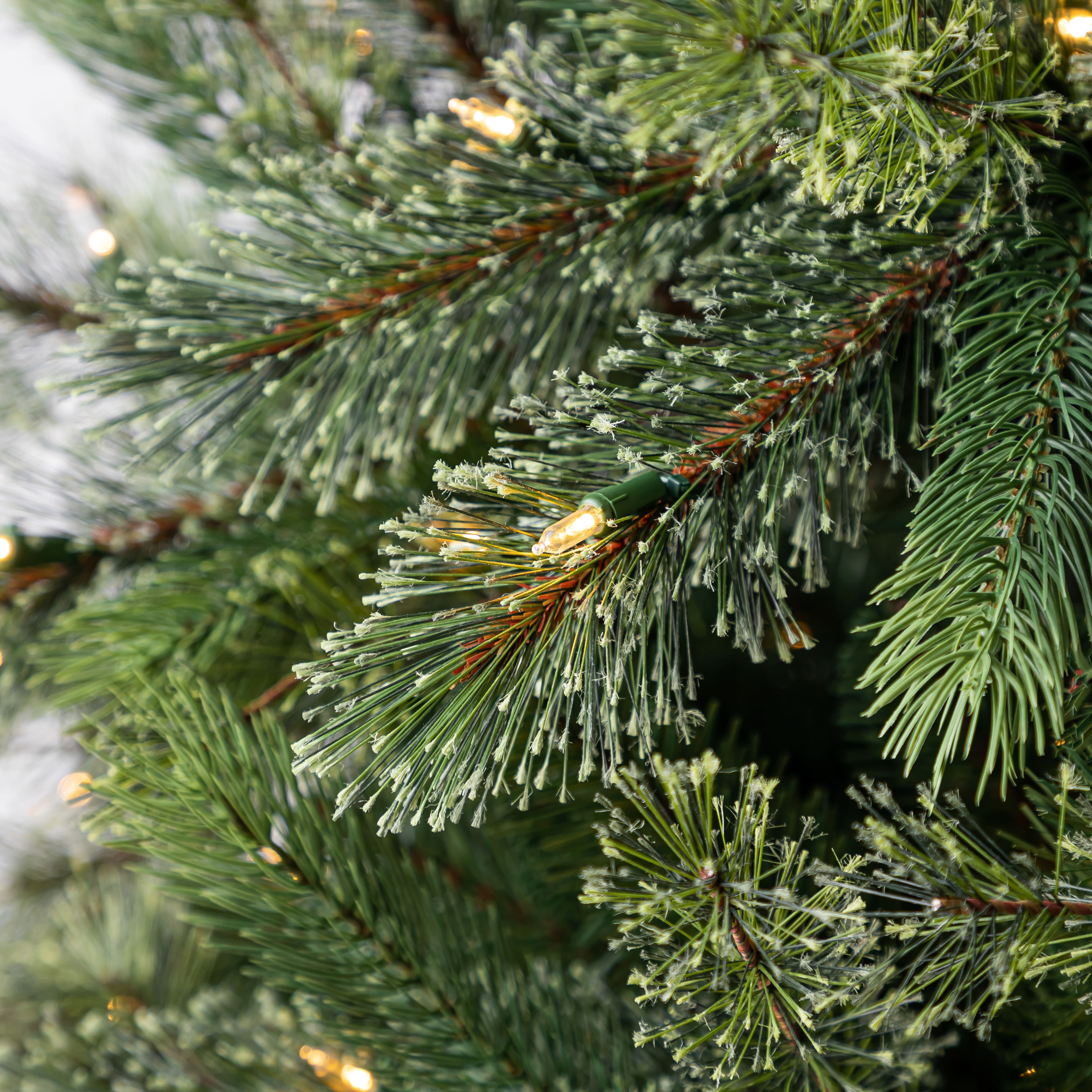 7.5ft. Pre-Lit Jackson Spruce Artificial Christmas Tree, Warm White LED Lights by Ashland&#xAE;