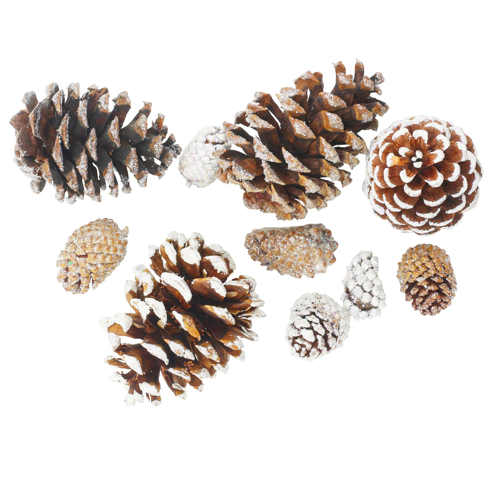 Snowy White Pinecone Assortment by Ashland&#xAE;