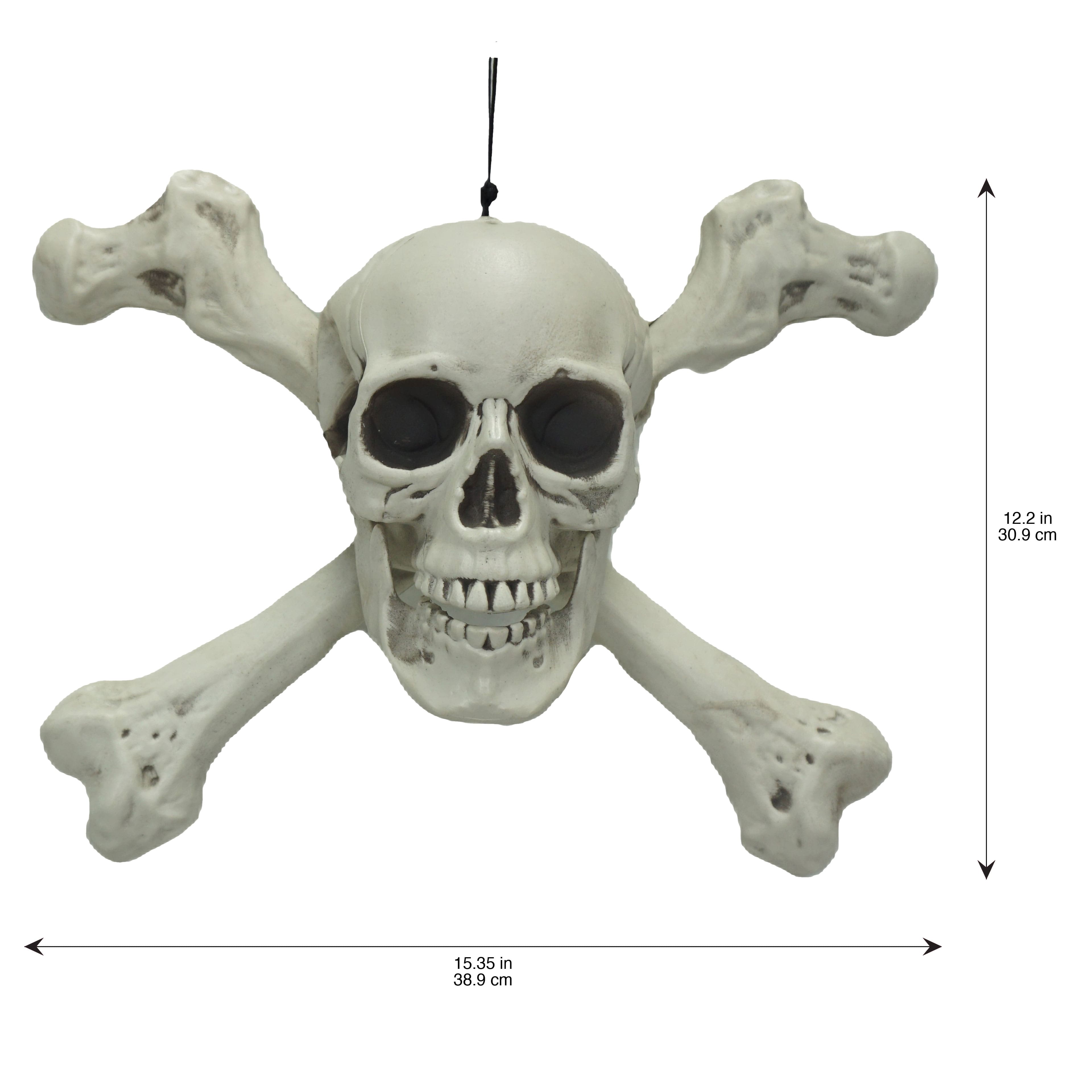 15.25&#x22; Hanging Skull &#x26; Crossbones by Ashland&#xAE;