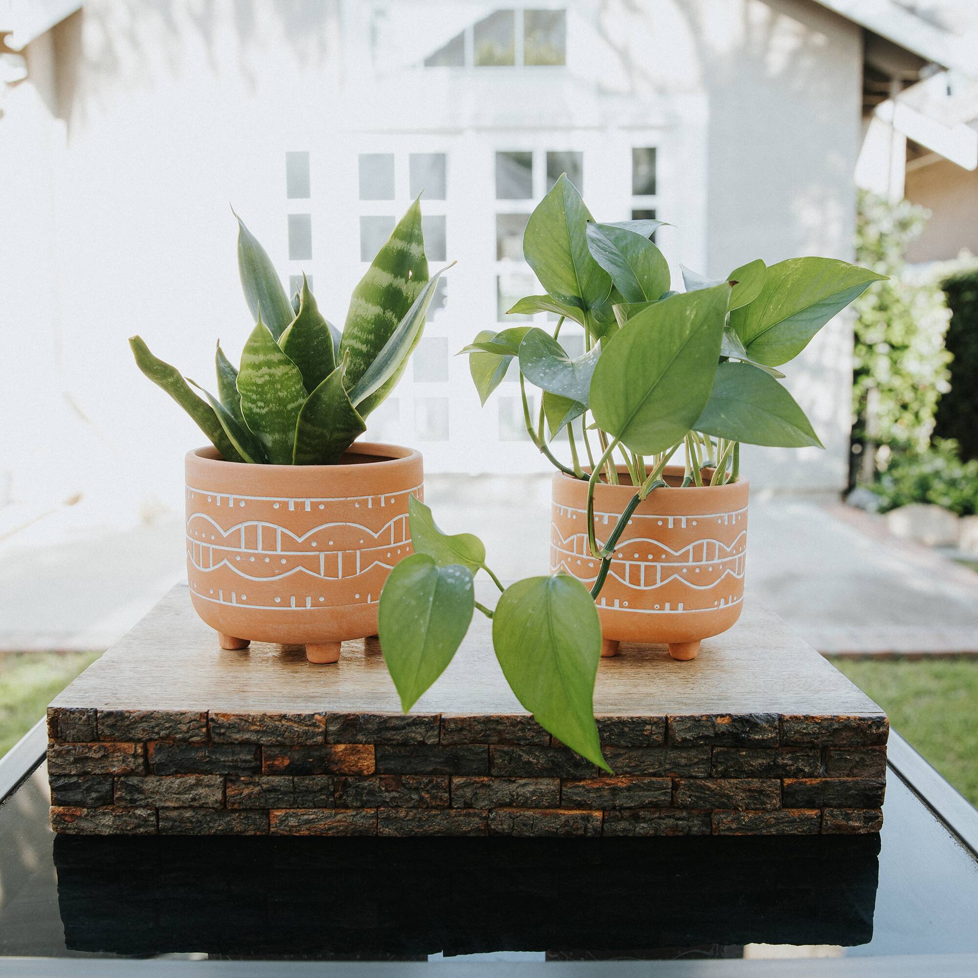 Flora Bunda&#xAE; Orange Navajo Footed Planter Set