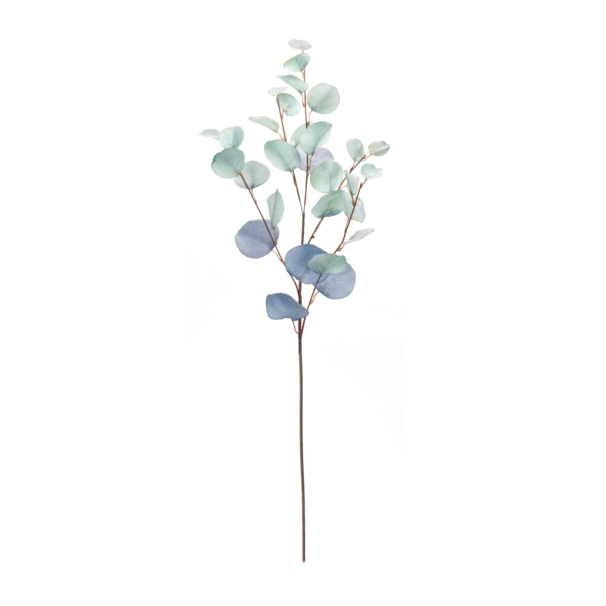 Blue Eucalyptus Spray, 6ct.