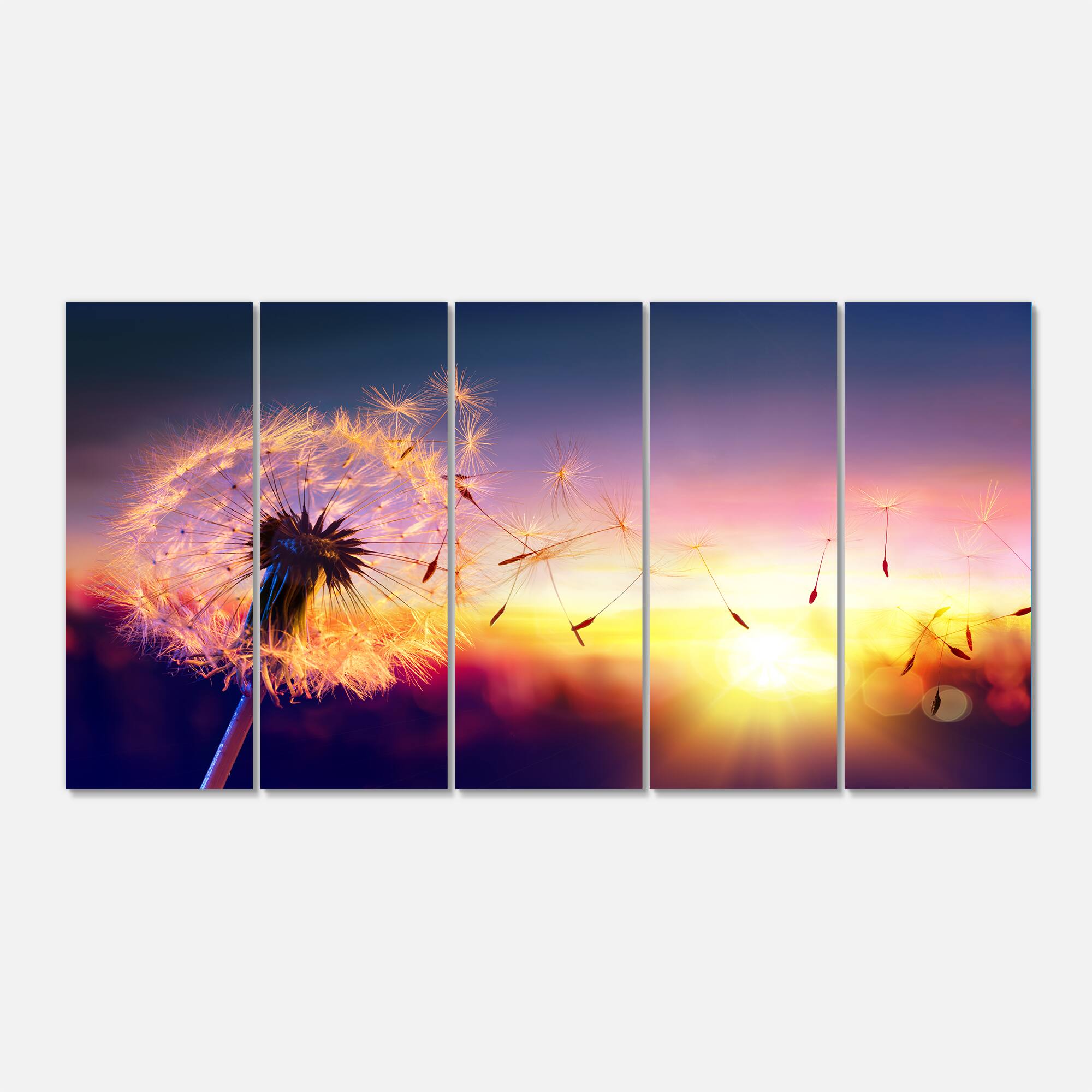 Designart - Dandelion at Sunset Freedom to Wish - Abstract Wall Art Canvas