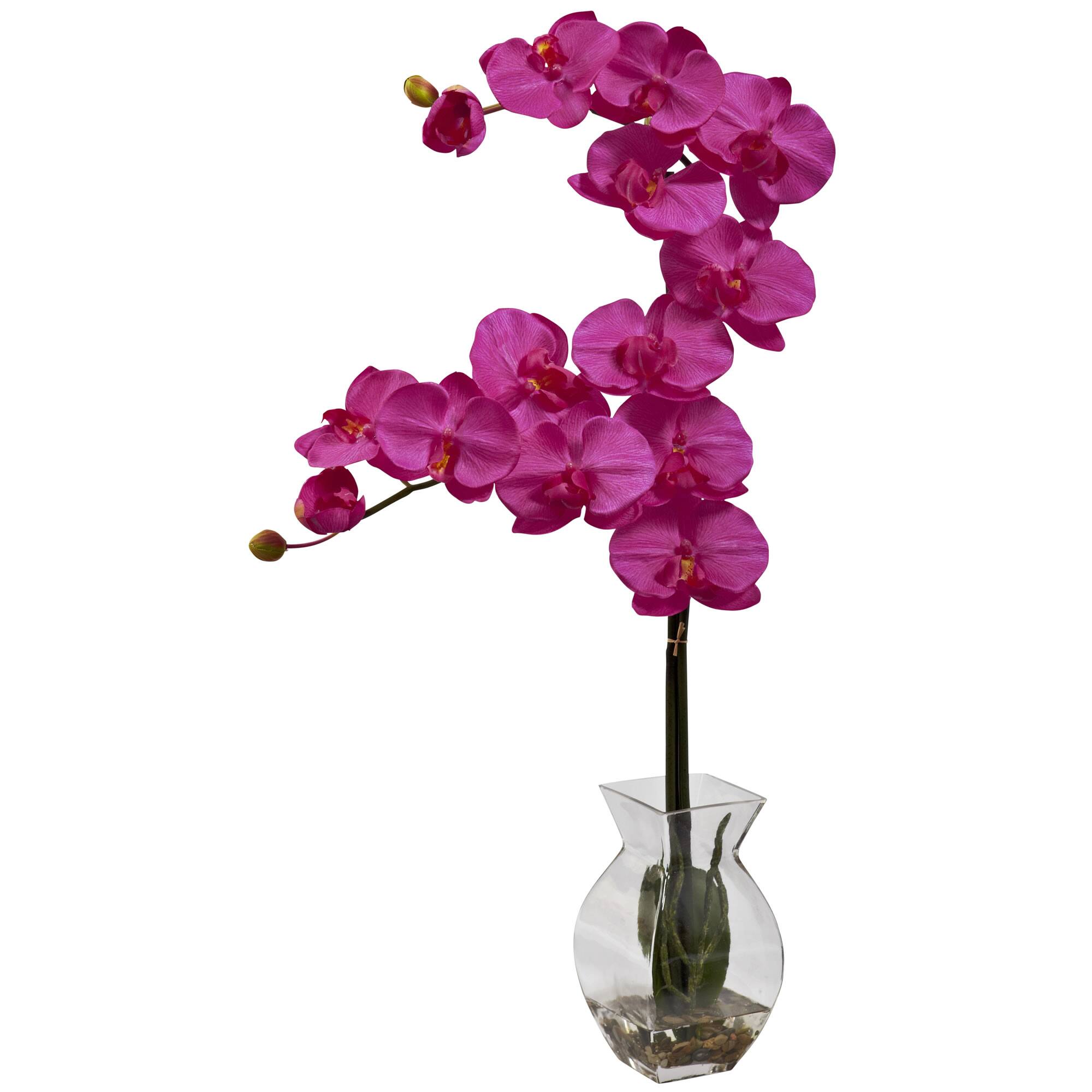 24&#x22; Moth Orchid Arrangement with Vase