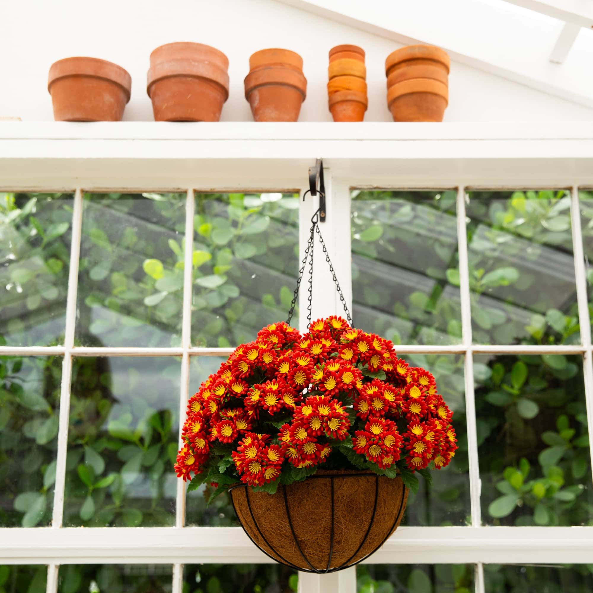 24in. UV Resistant Artificial Chrysanthemum Hanging Basket (Indoor/Outdoor)