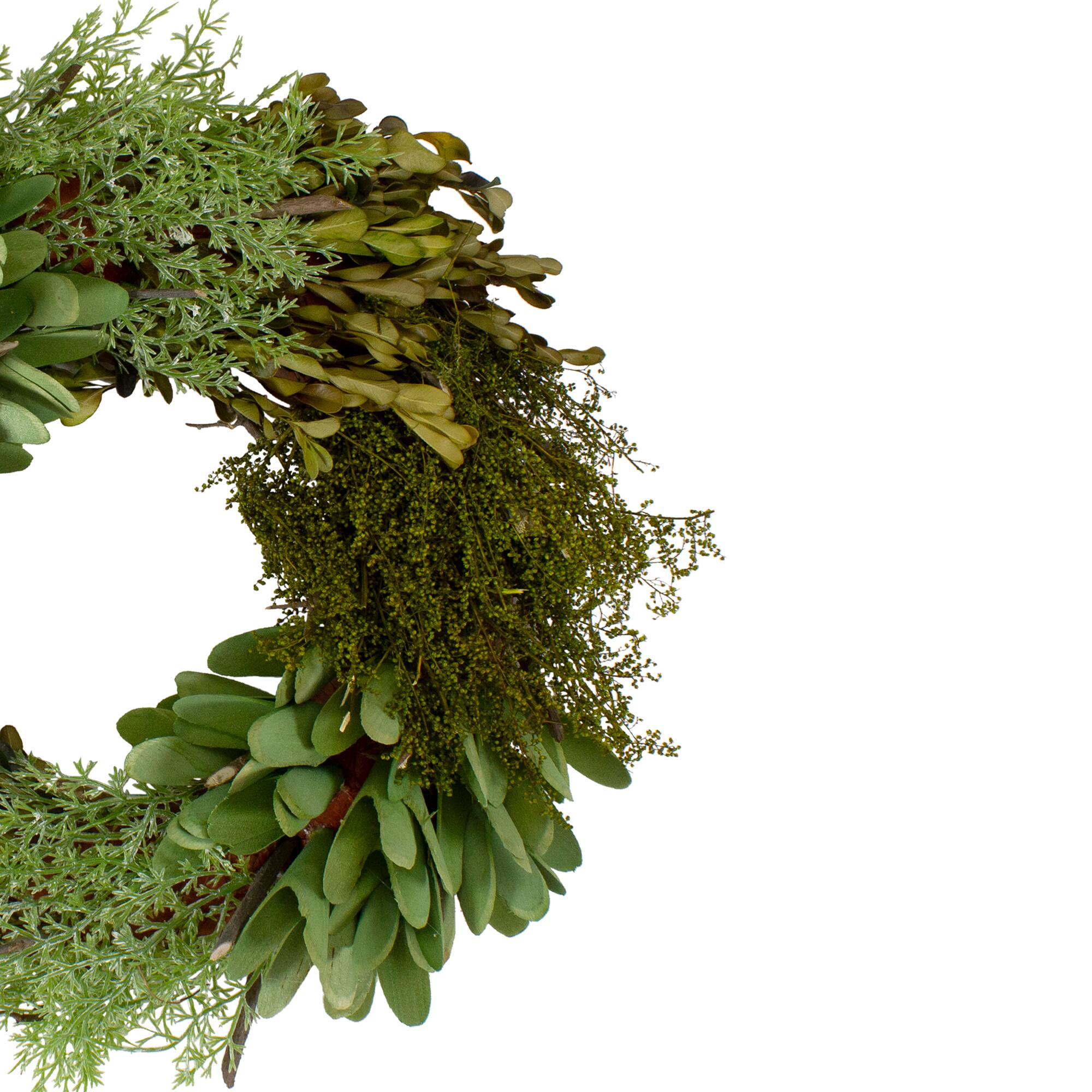 14&#x22; Green Cedar Succulent &#x26; Day Grass Artificial Spring Wreath