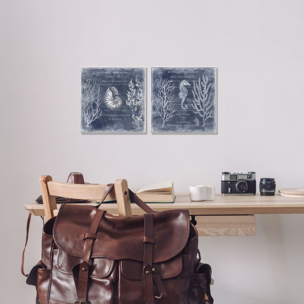 Stupell Industries Vintage European Shells and Seahorse Design,12" x 12"