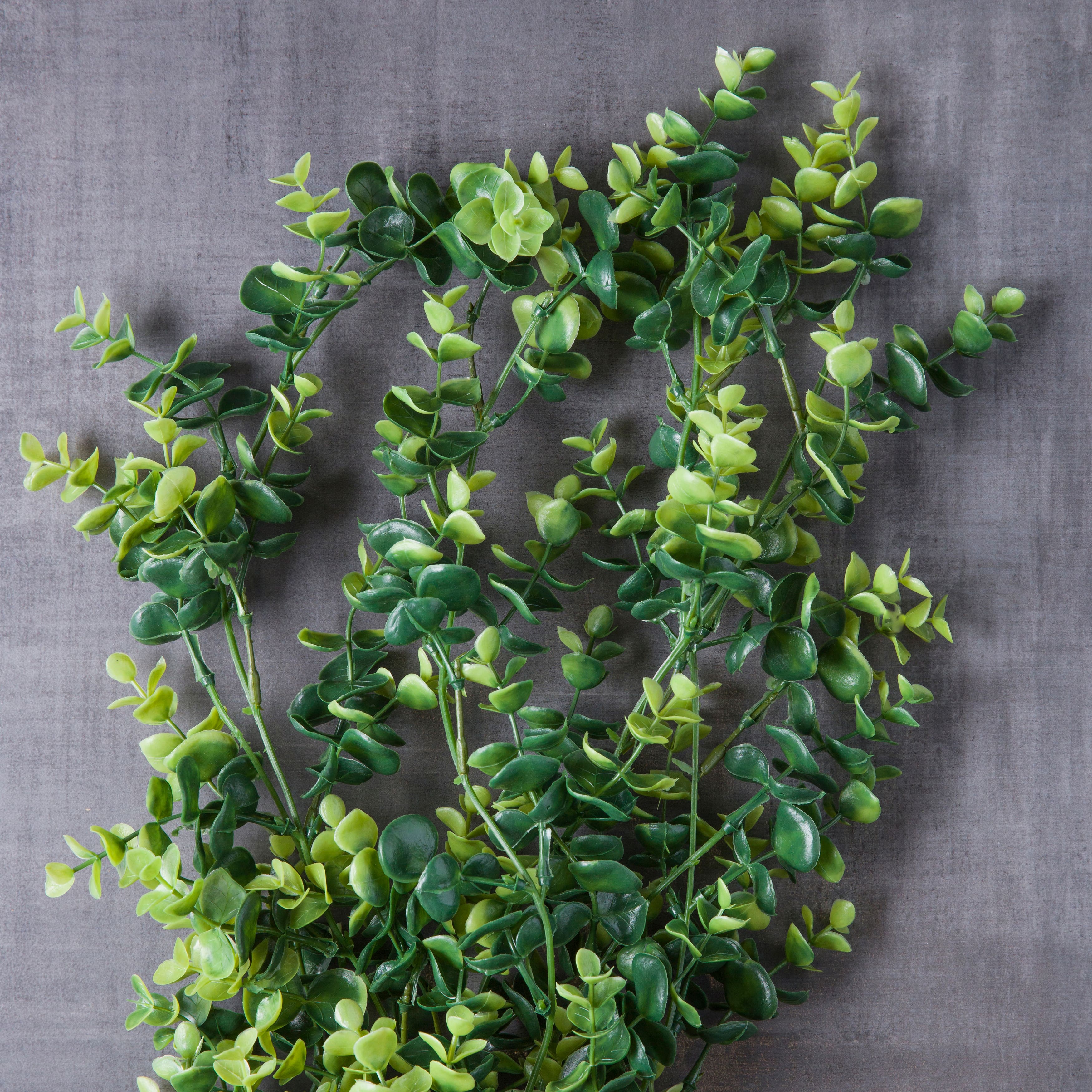 Green Hanging Eucalyptus Bush by Ashland®