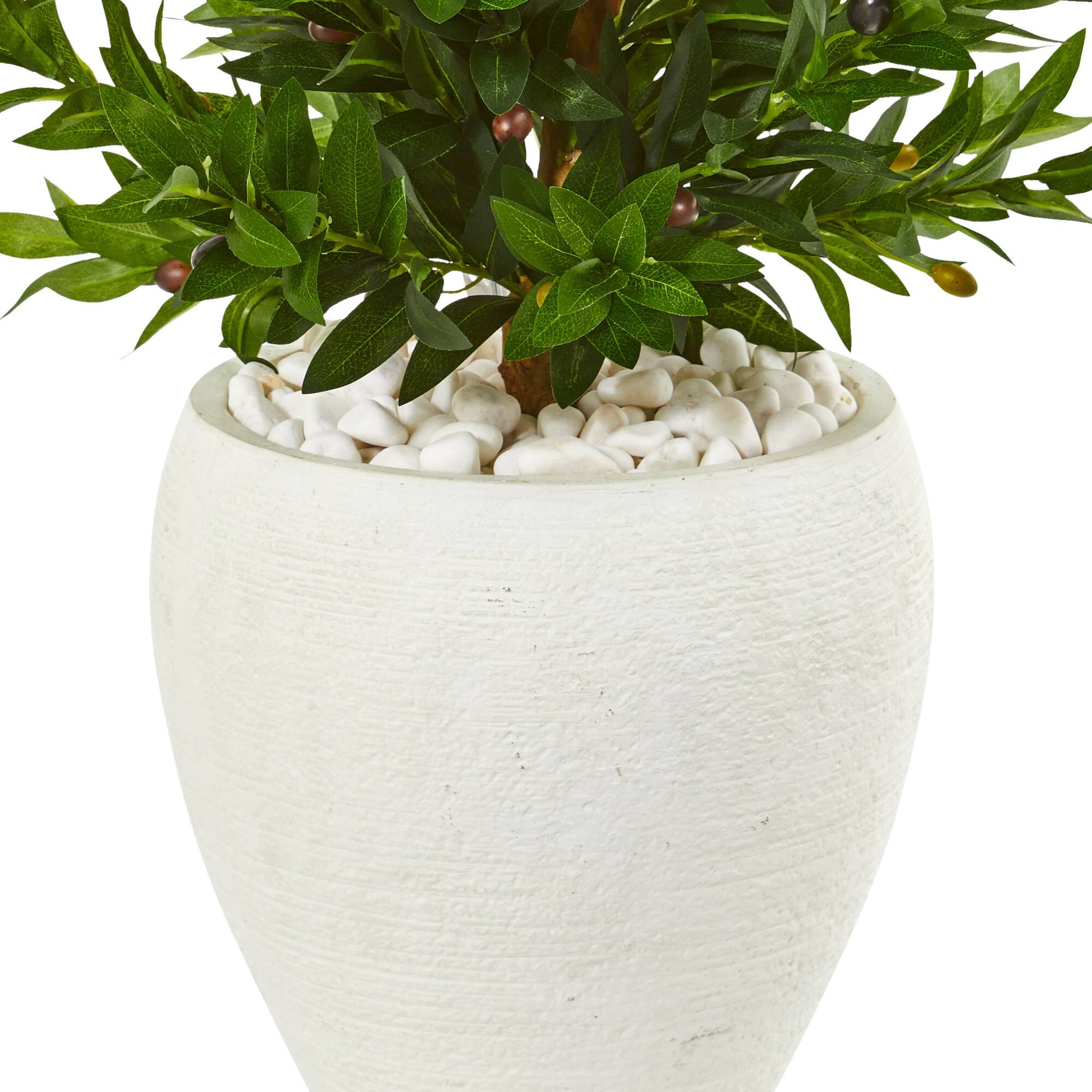 3.5ft. Olive Cone Topiary Tree in White Planter