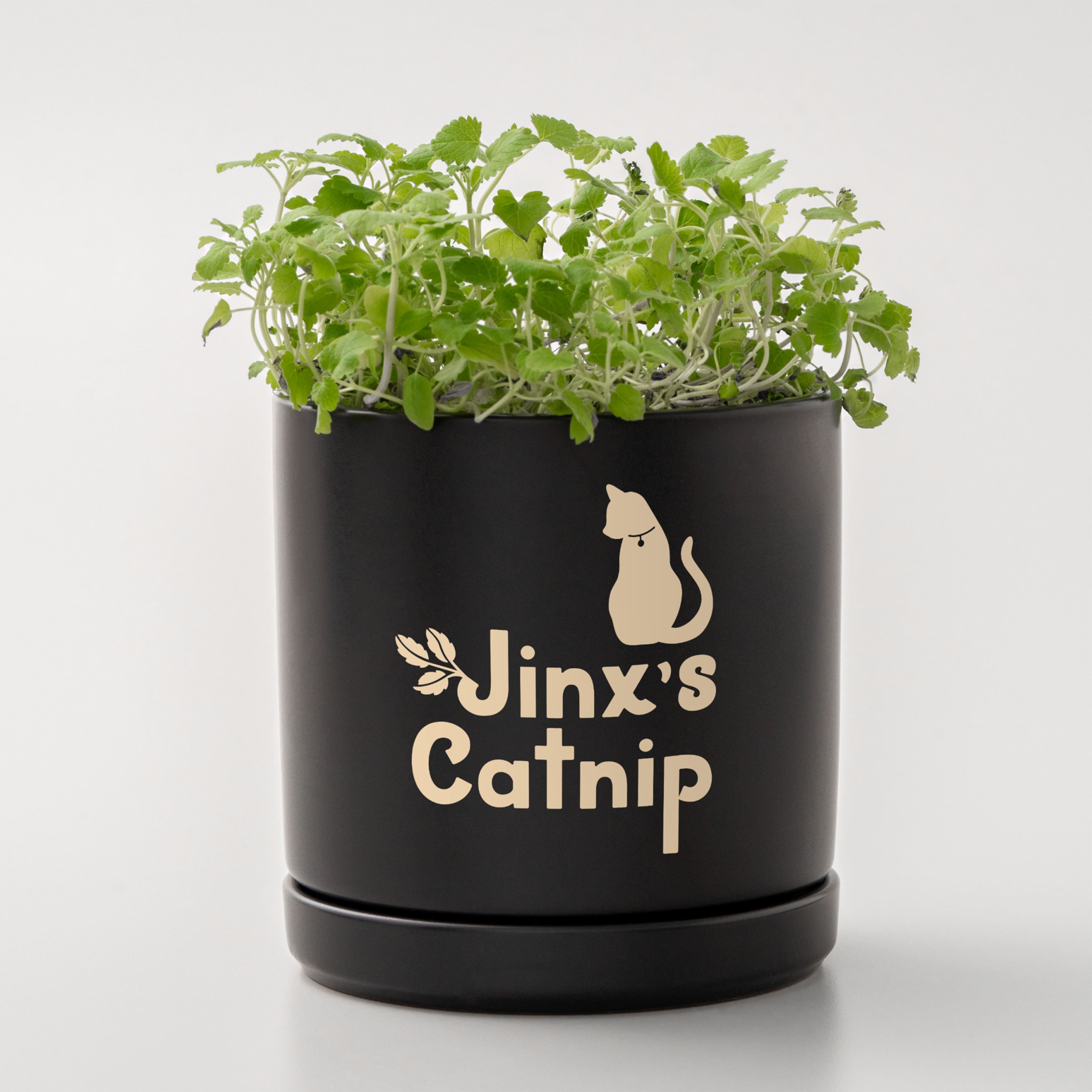 Cricuit Joy Xtra™ Removable Smart Vinyl™ Classics Sampler, 3ct.