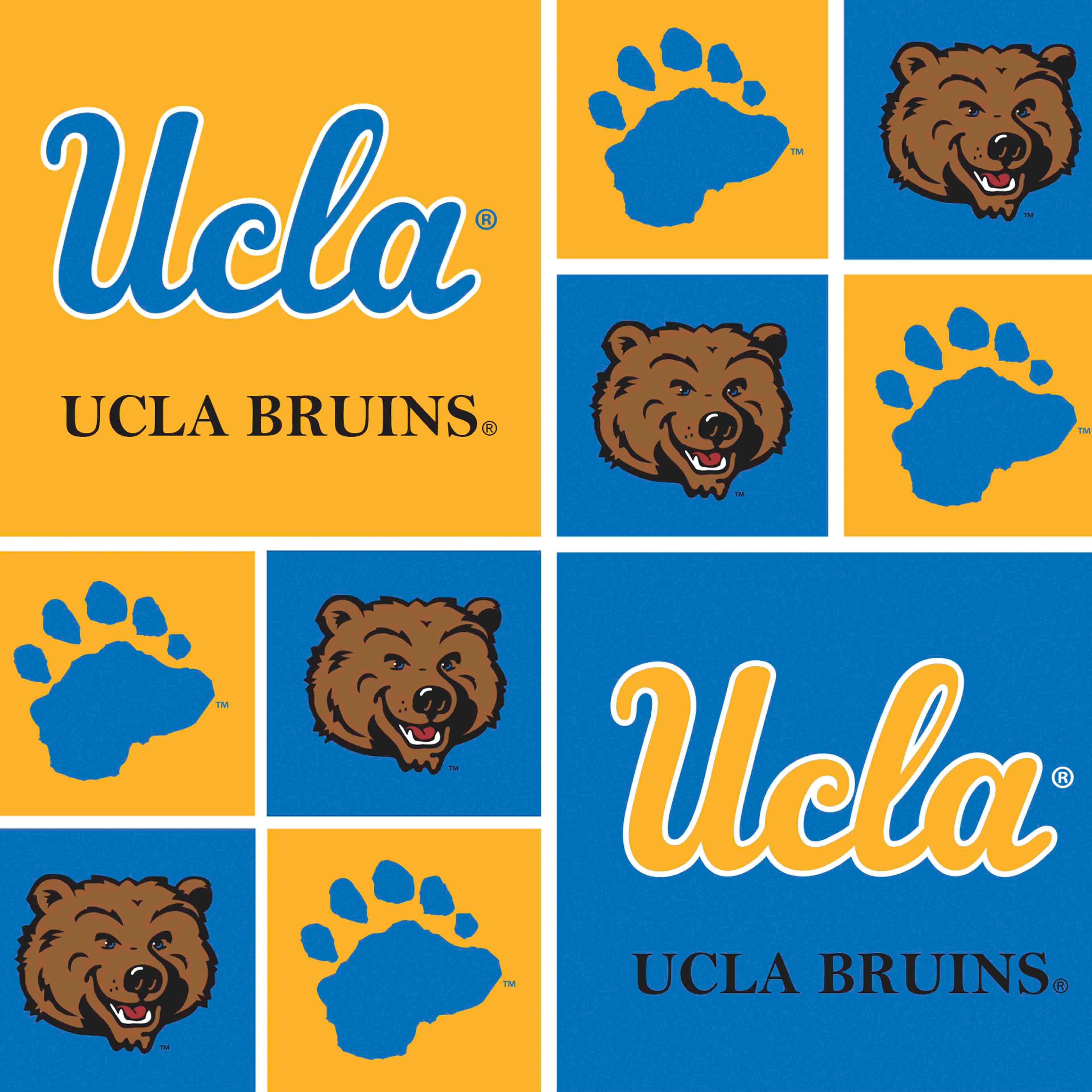 NCAA UCLA Bruins Block Cotton Fabric
