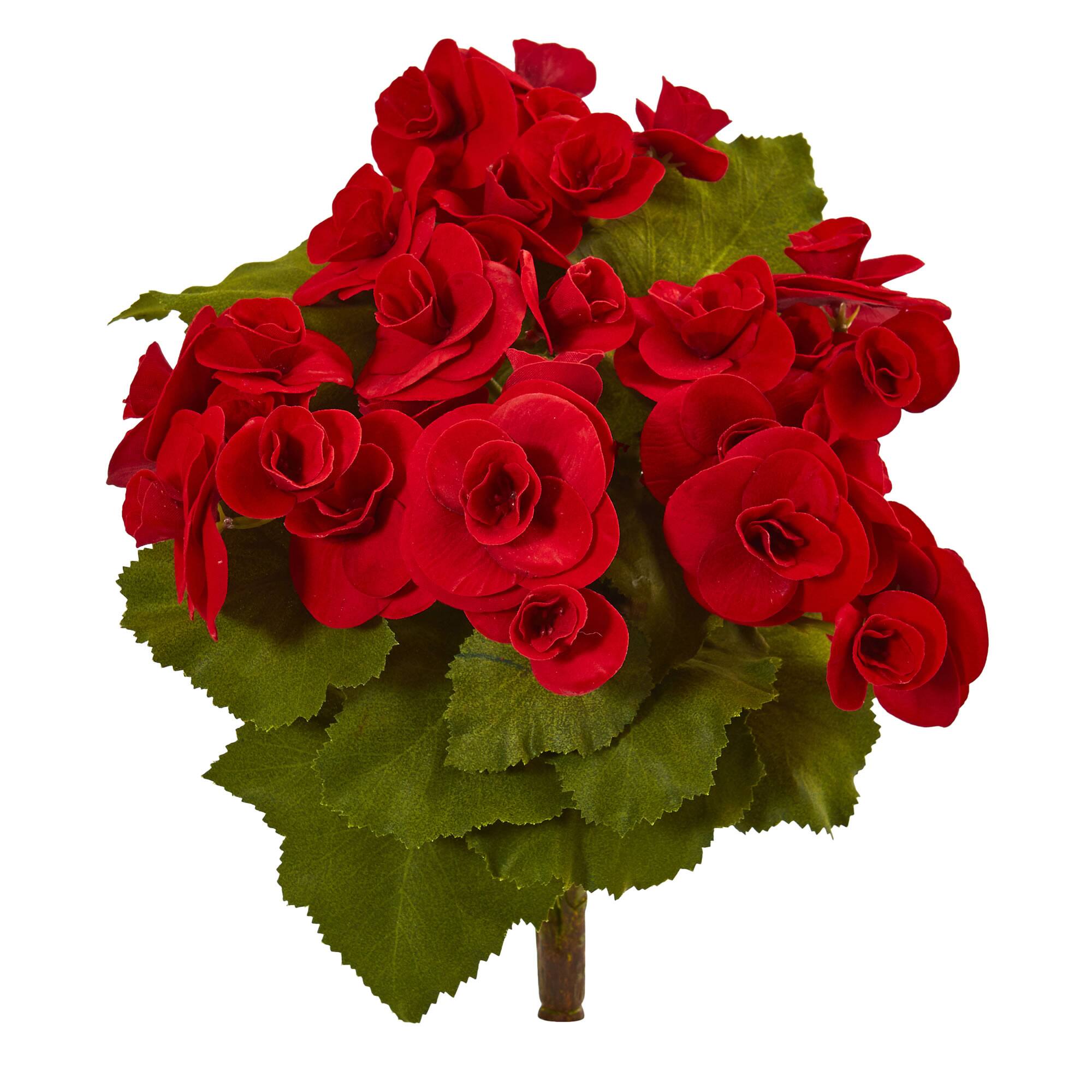 11&#x22; Begonia Bush Flower, 4ct.