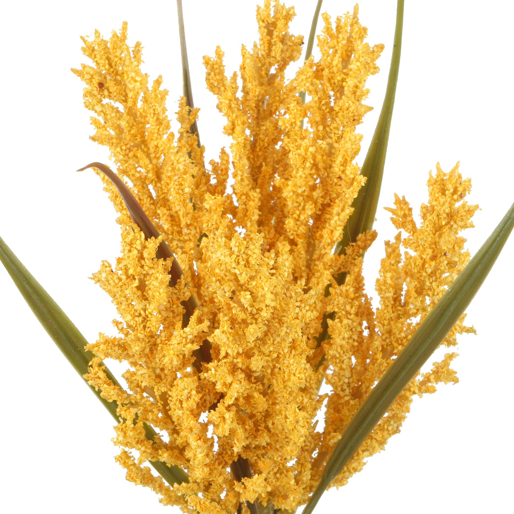 12&#x22; Mini Foxtail Bundle by Ashland&#xAE;