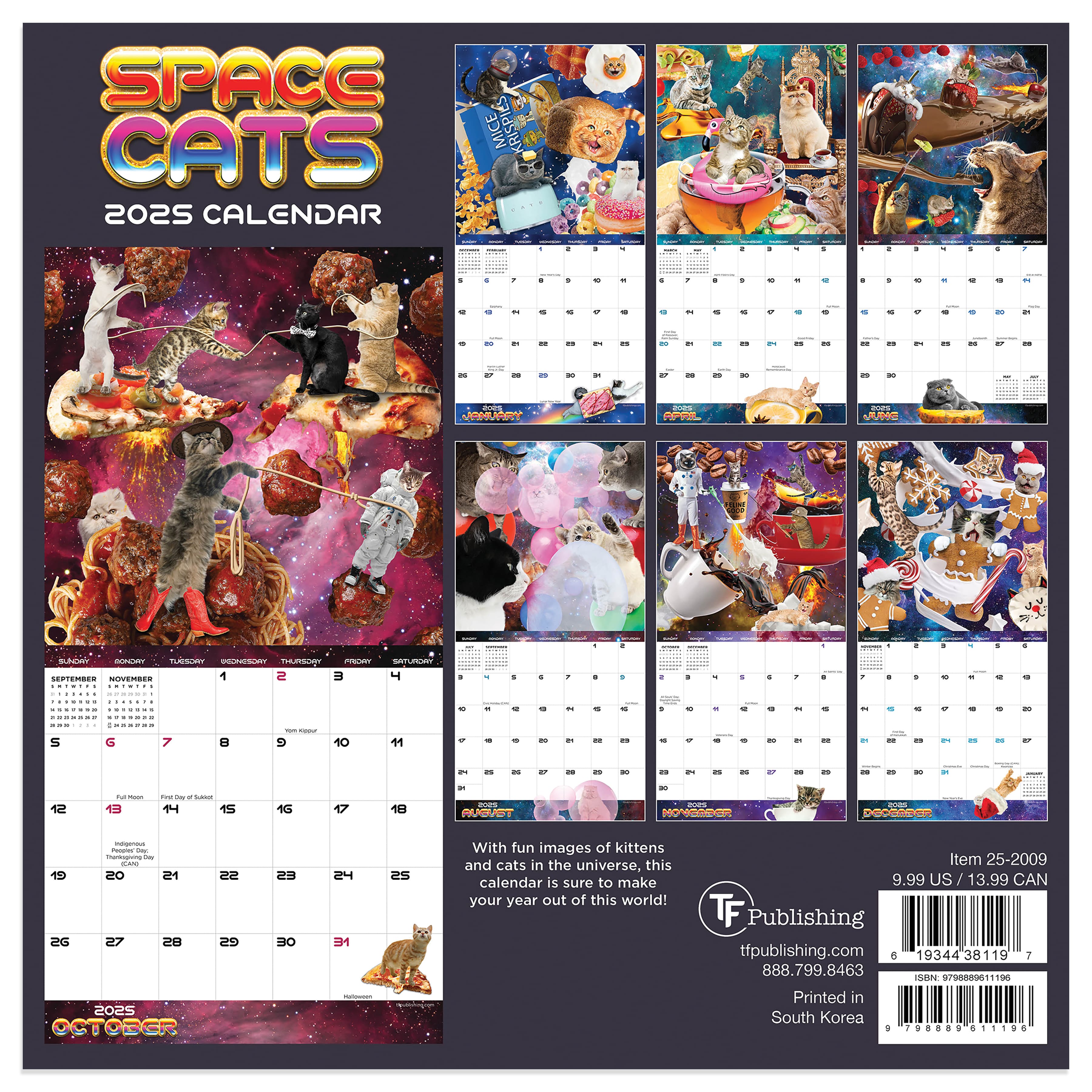 TF Publishing 2025 Space Cats Mini Calendar