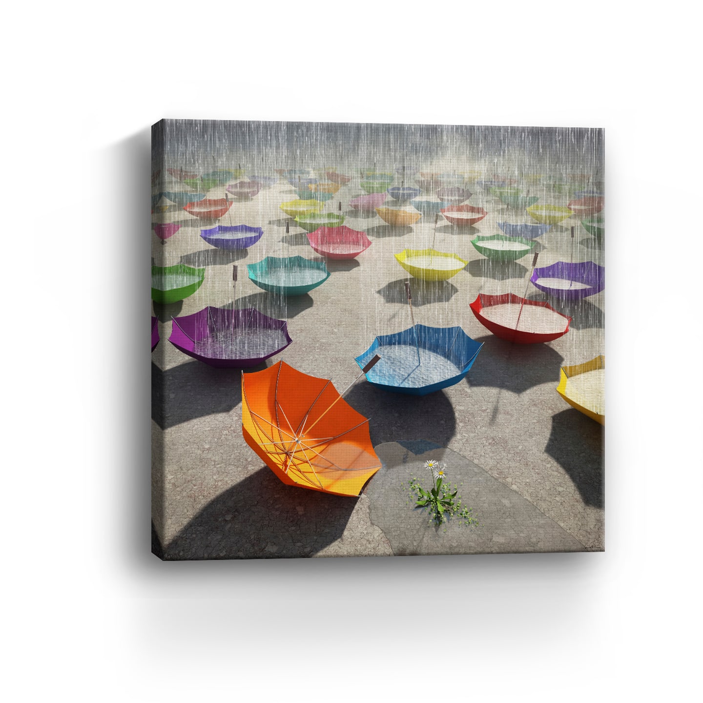 Lumaprints Downpour Canvas Wall Art