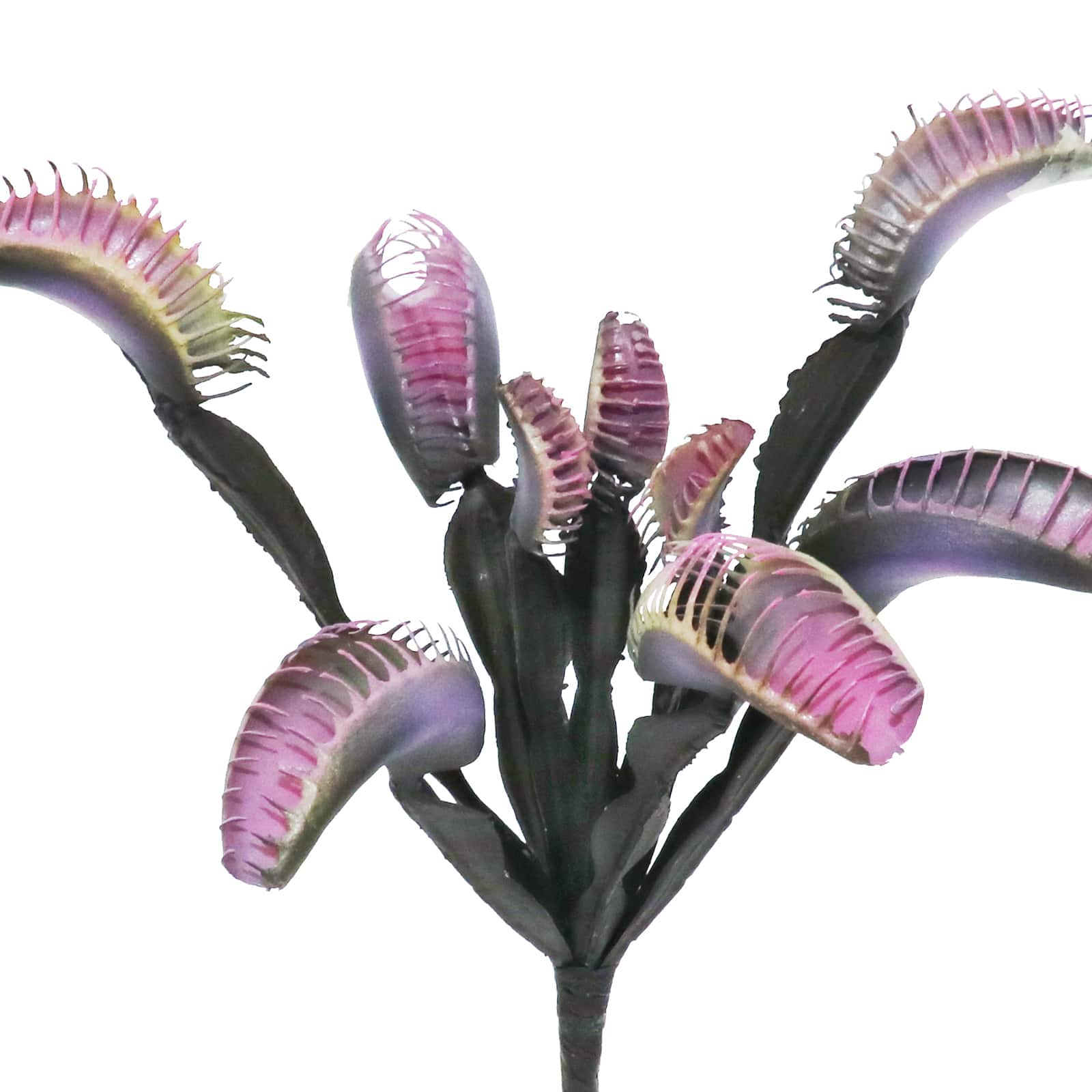 11.25&#x22; Pink &#x26; Black Venus Flytrap Pick by Ashland&#xAE;