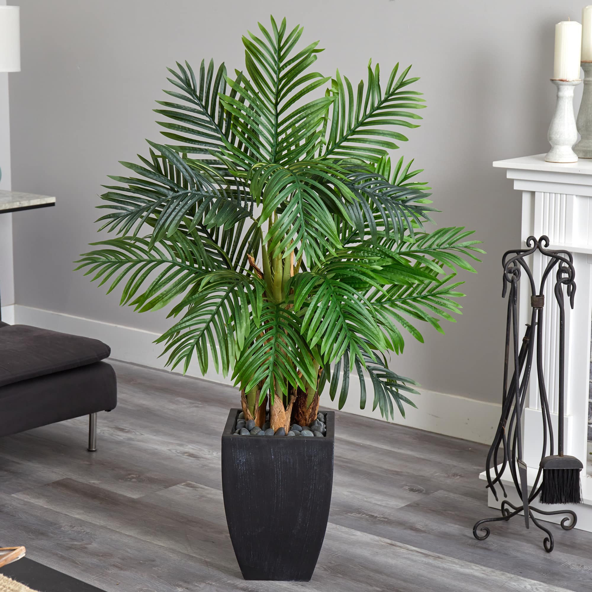 5ft. Kentia Palm Tree in Black Planter