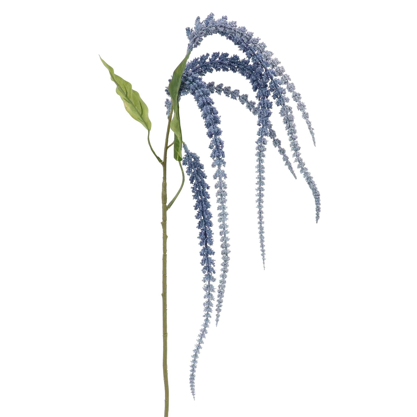 Light Blue Amaranthus Stem by Ashland&#xAE;