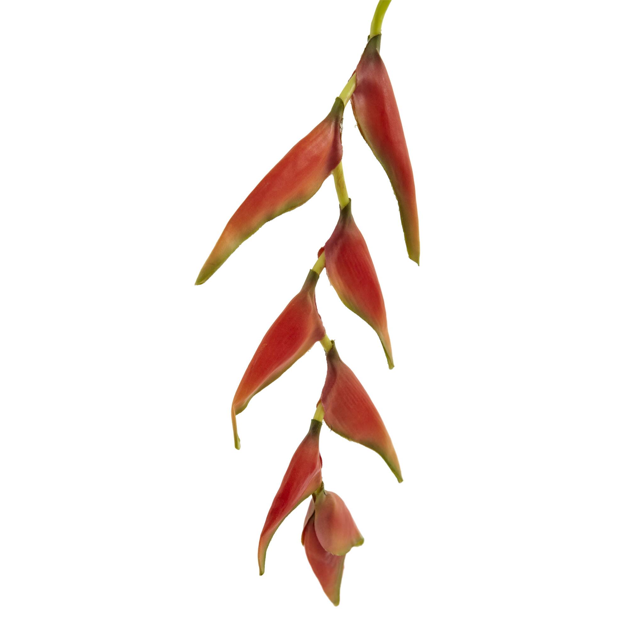 Orange Hanging Lobster Claw Flower, 4ct.