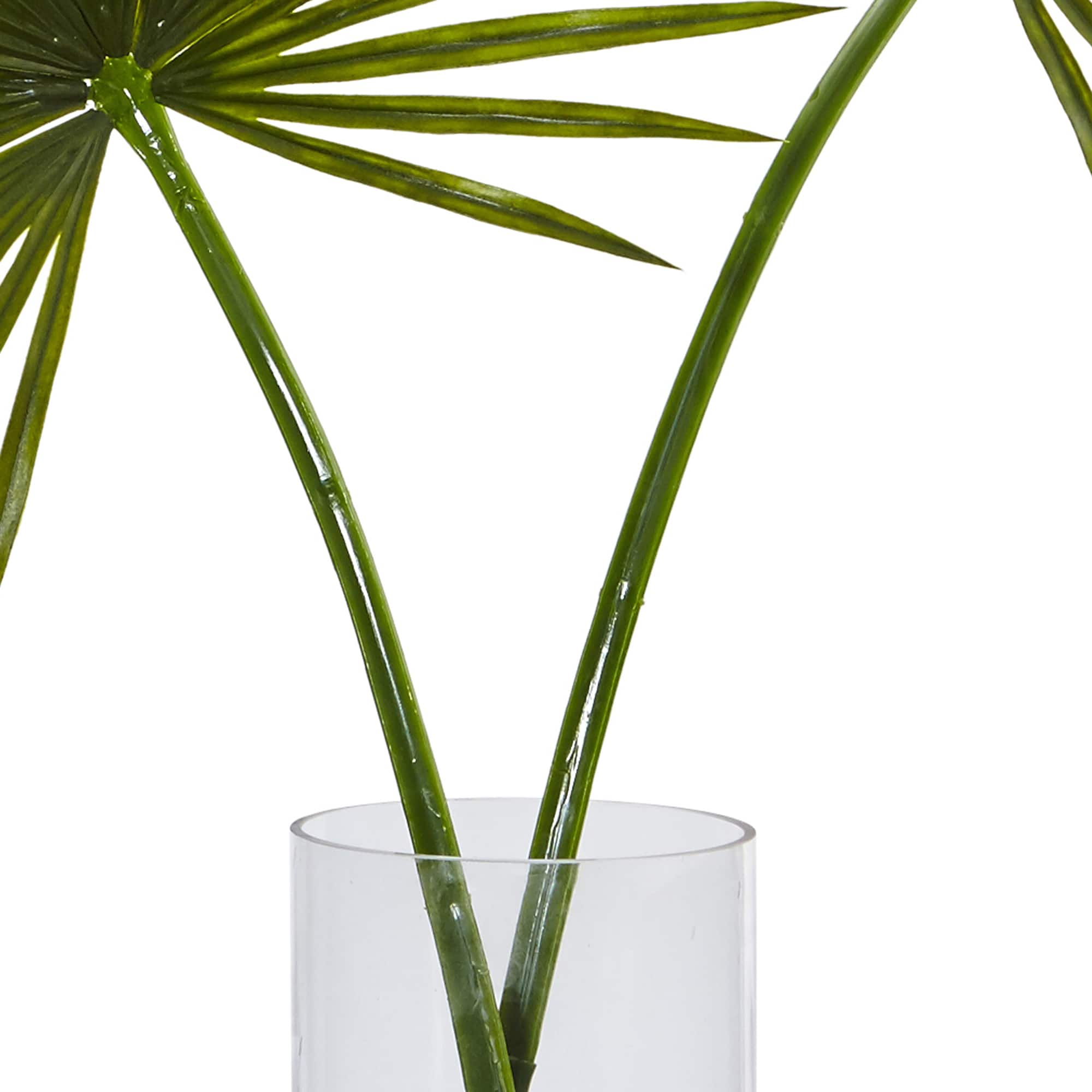 4ft. Green Fan Palm Arrangement in Glass Vase