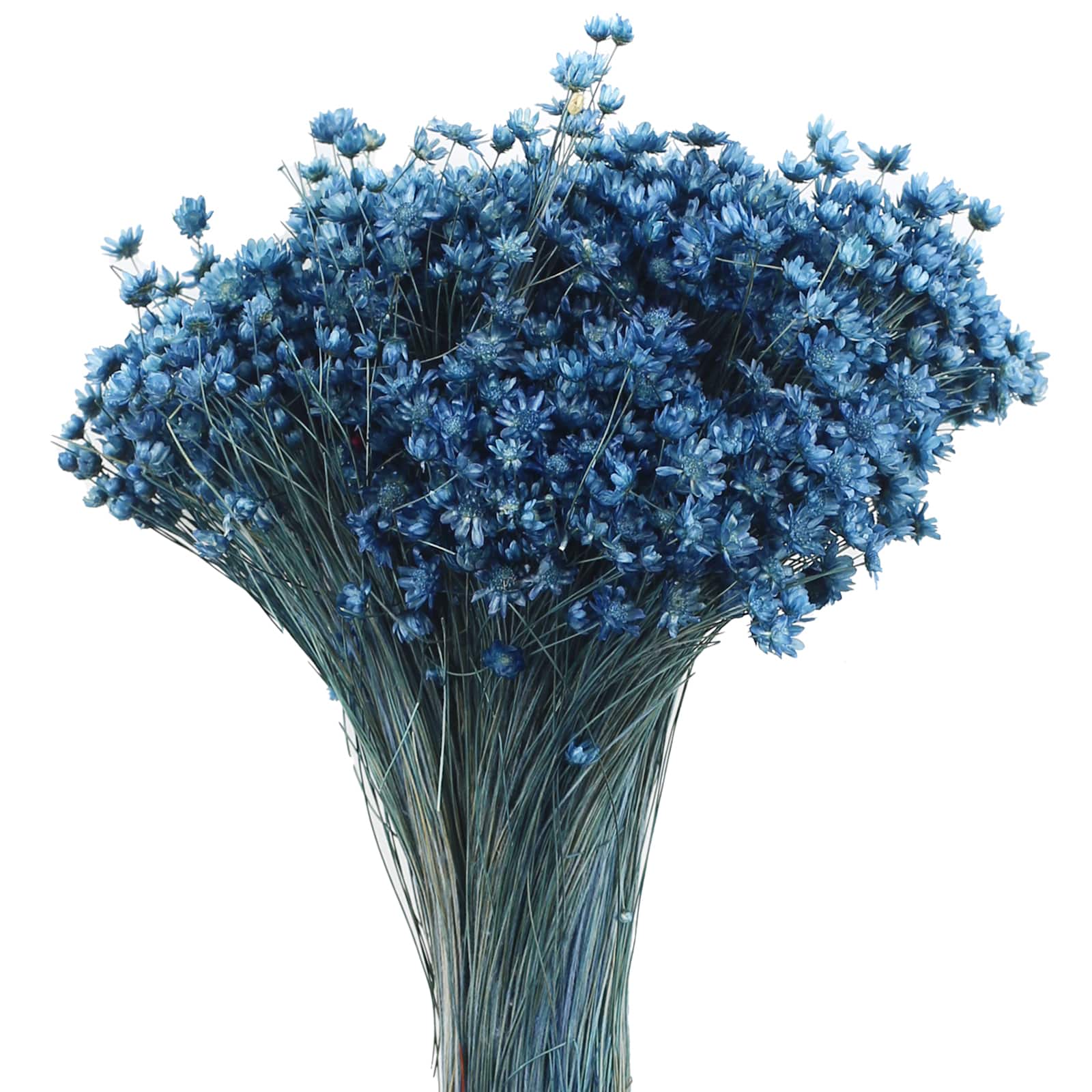 14" Navy Blue Dried Campo Flower Bunch by Ashland®