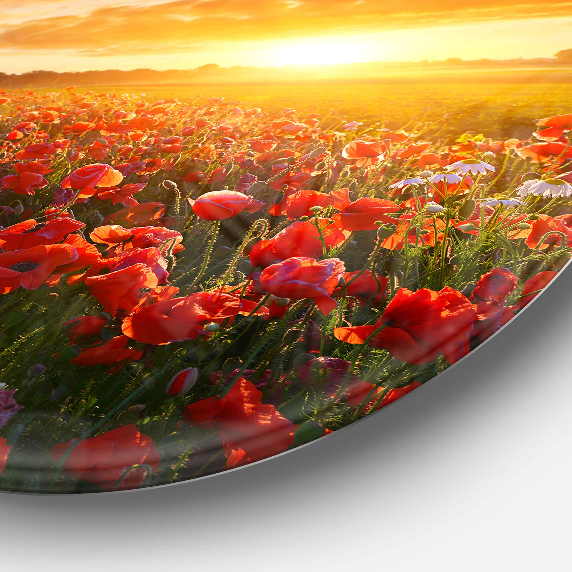 Designart - Beautiful Poppy Field at Sunset&#x27; Abstract Round Circle Metal Wall Art