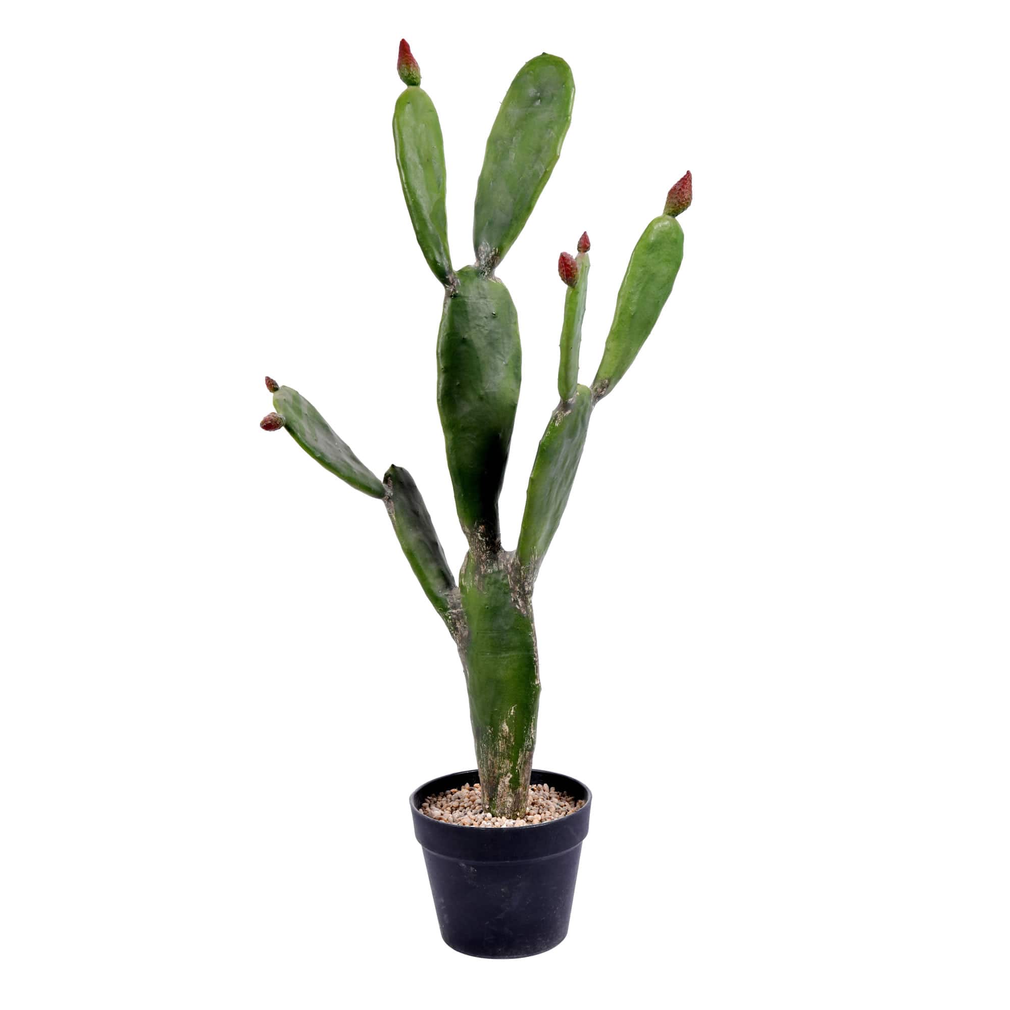 3ft. Potted Green Cactus | Michaels
