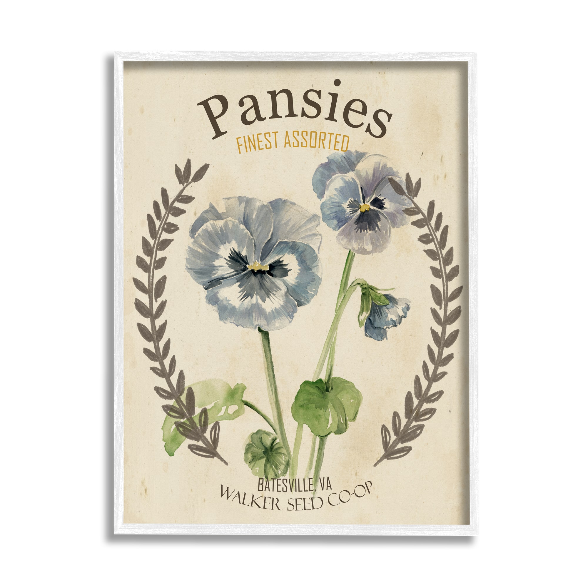 Stupell Industries Blue Assorted Pansies Vintage Floral Seed Packet Framed Wall Art