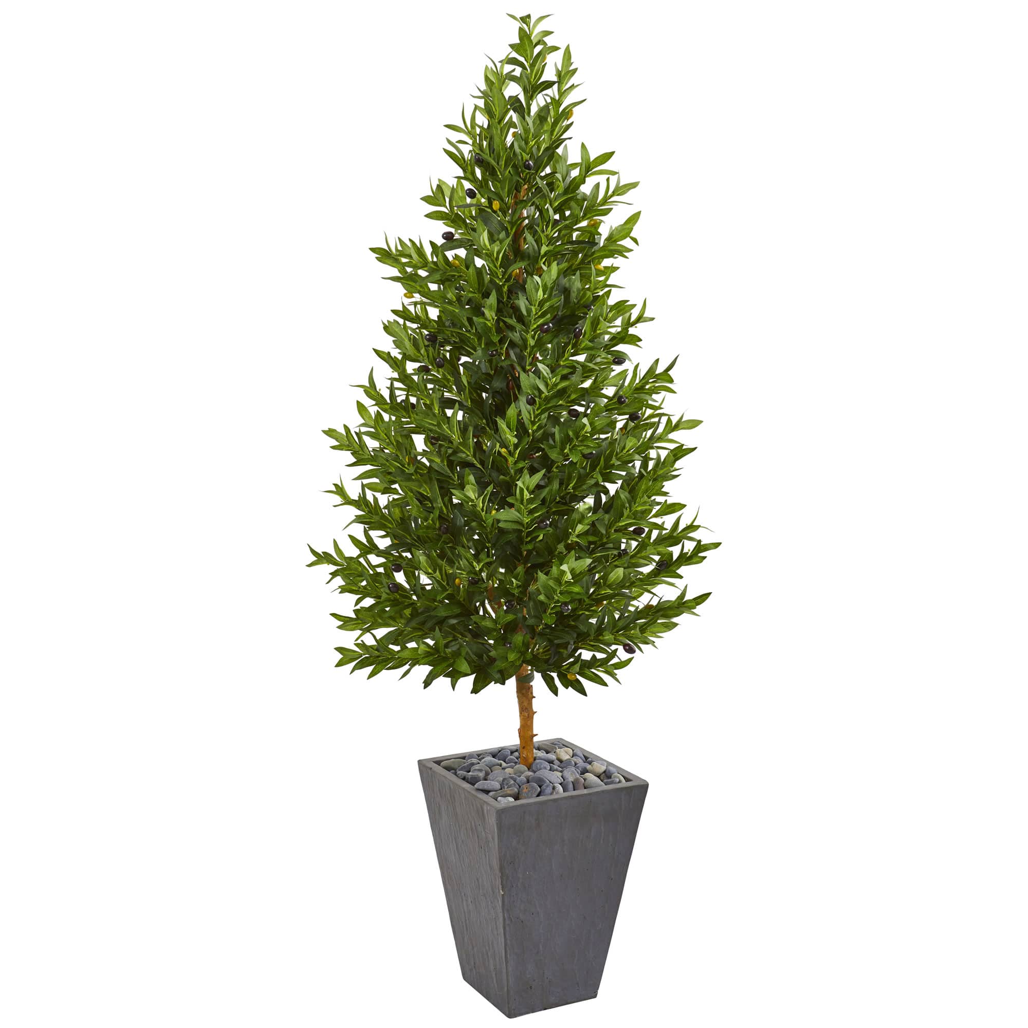 5.5ft. Olive Cone Topiary Tree in Slate Planter