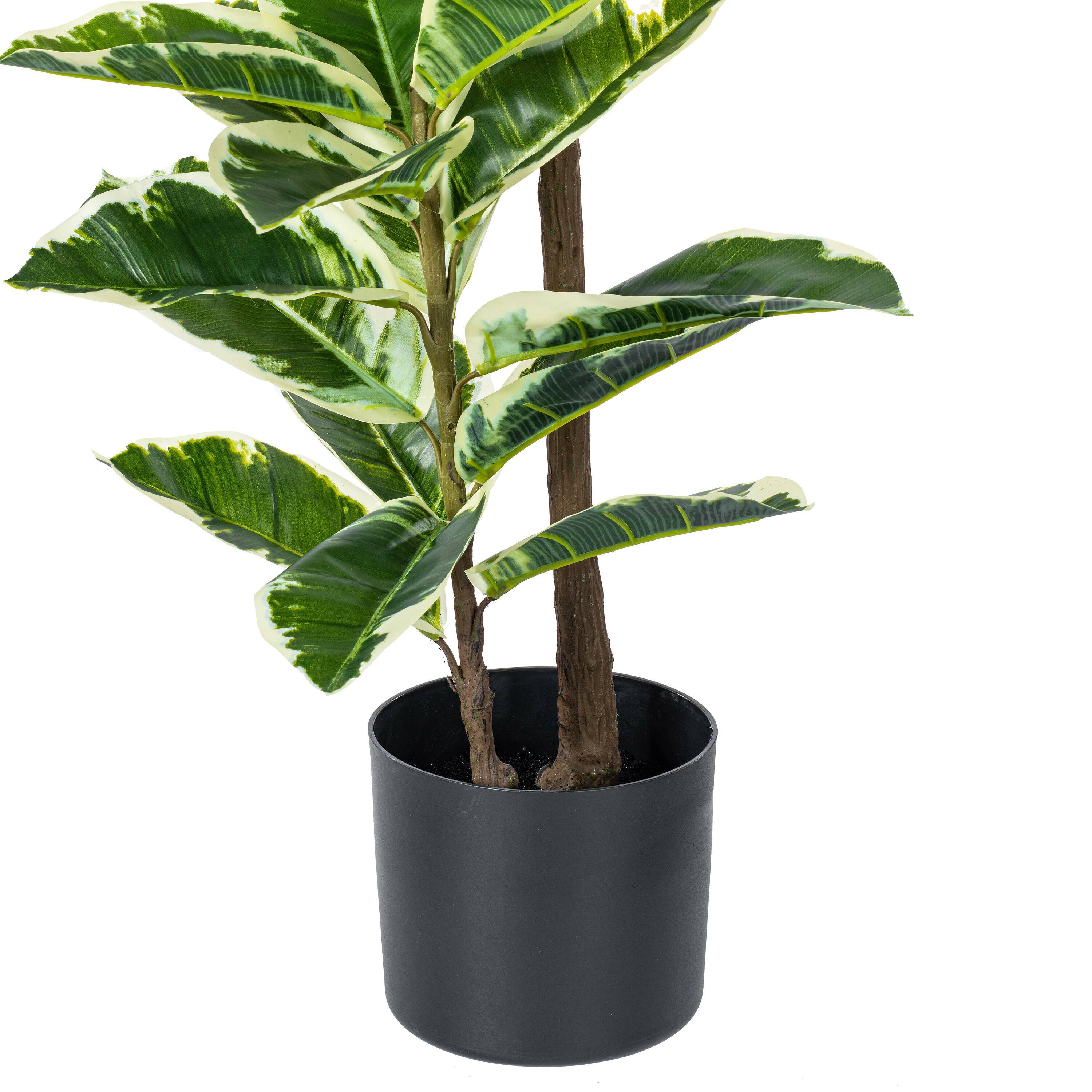 4ft. Potted Artificial Dumb Cane Tree