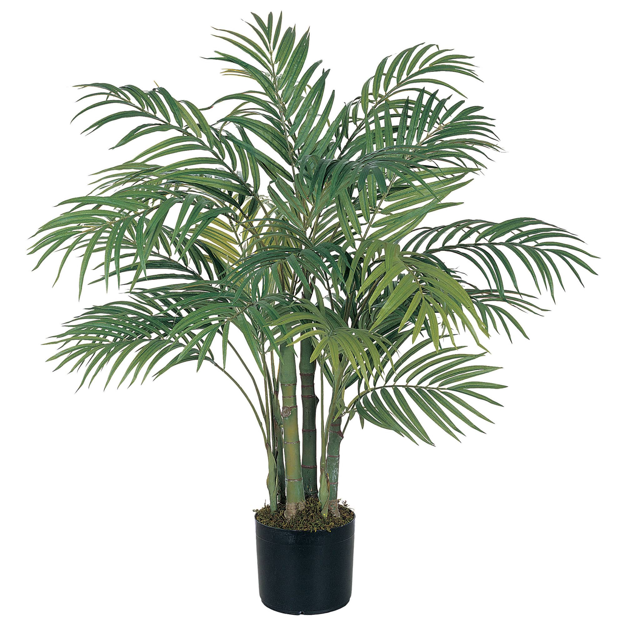 3ft. Potted Areca Silk Palm Tree