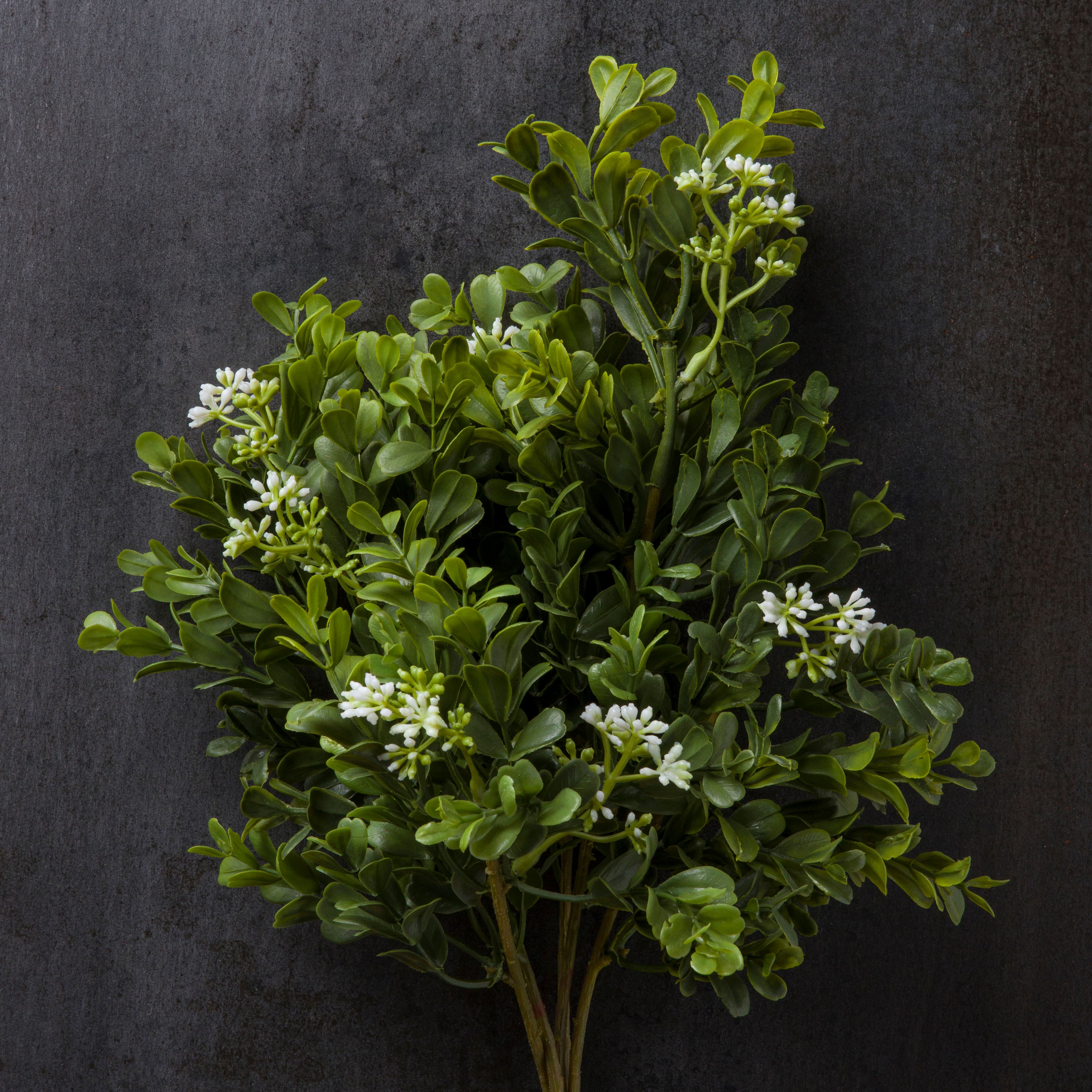 8 Pack: Boxwood & Berry Bush by Ashland®