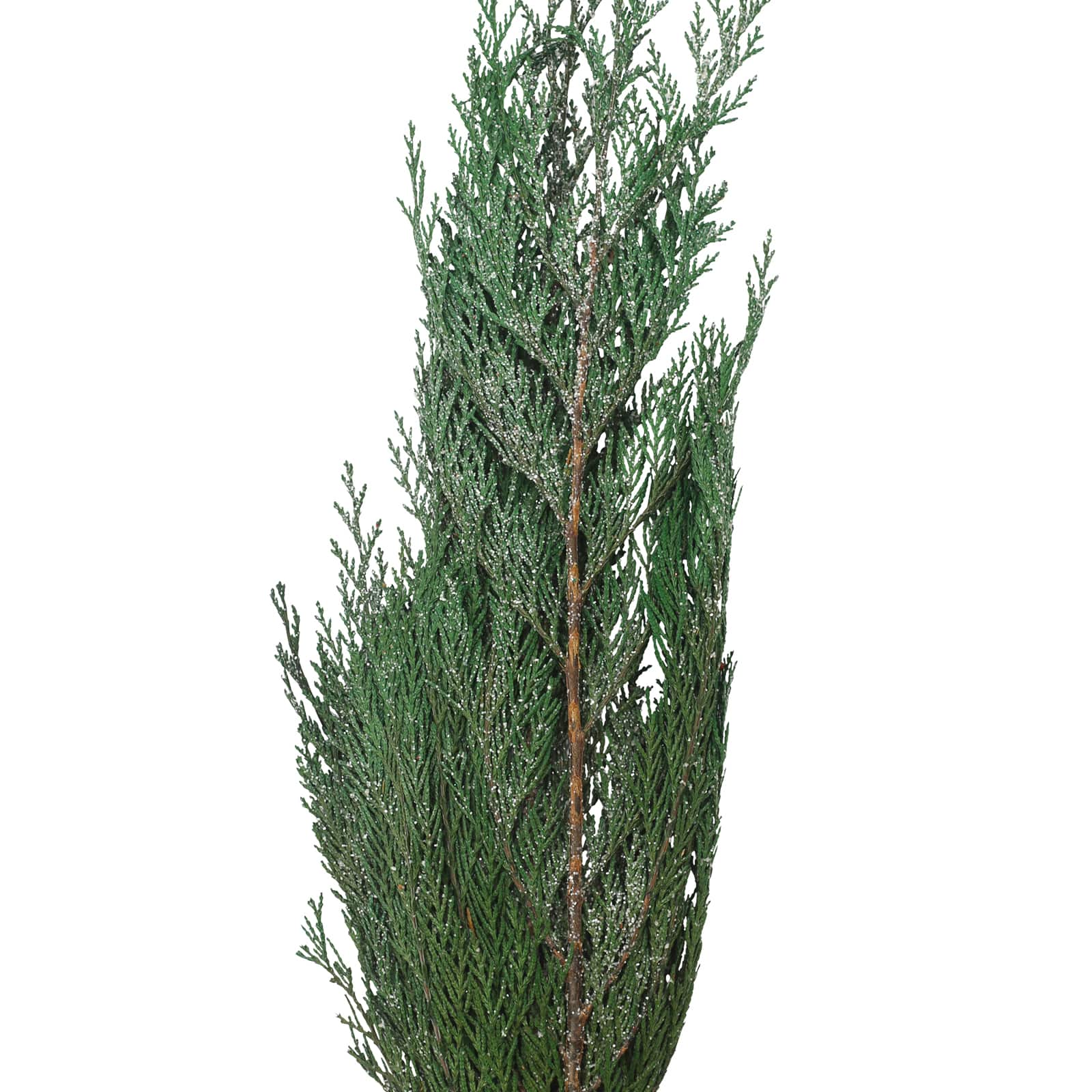 23&#x22; Glittery Green Cedar Bunch by Ashland&#xAE;