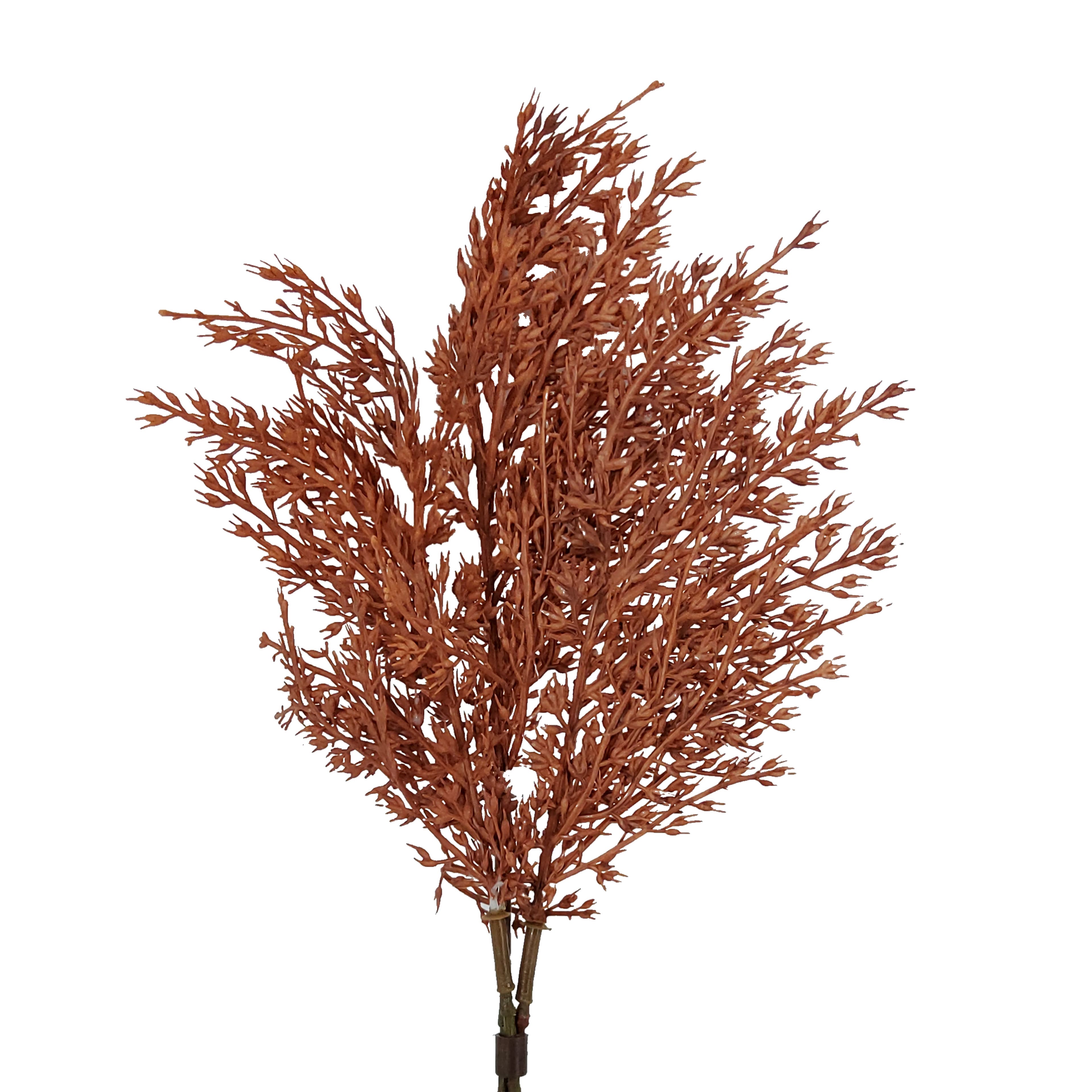 Mini Burgundy Wheat Bundle by Ashland®