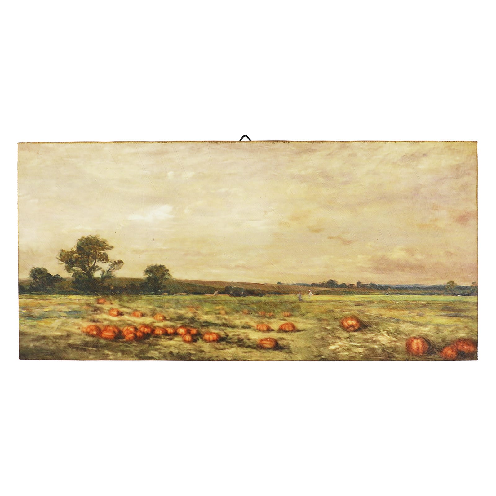 Pumpkin Field Wall D&#xE9;cor by Ashland&#xAE;