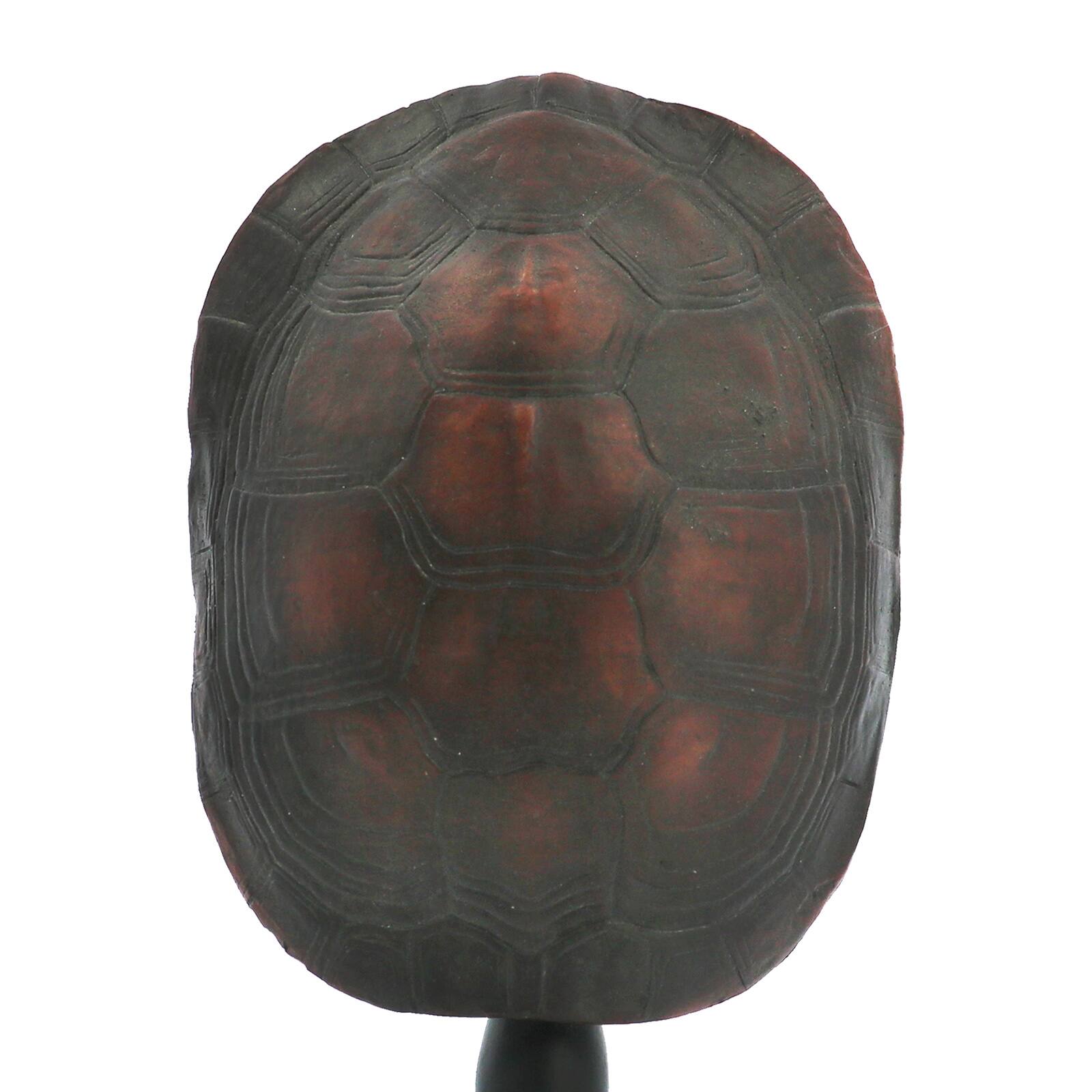 Turtle Shell Tabletop Accent by Ashland&#xAE;